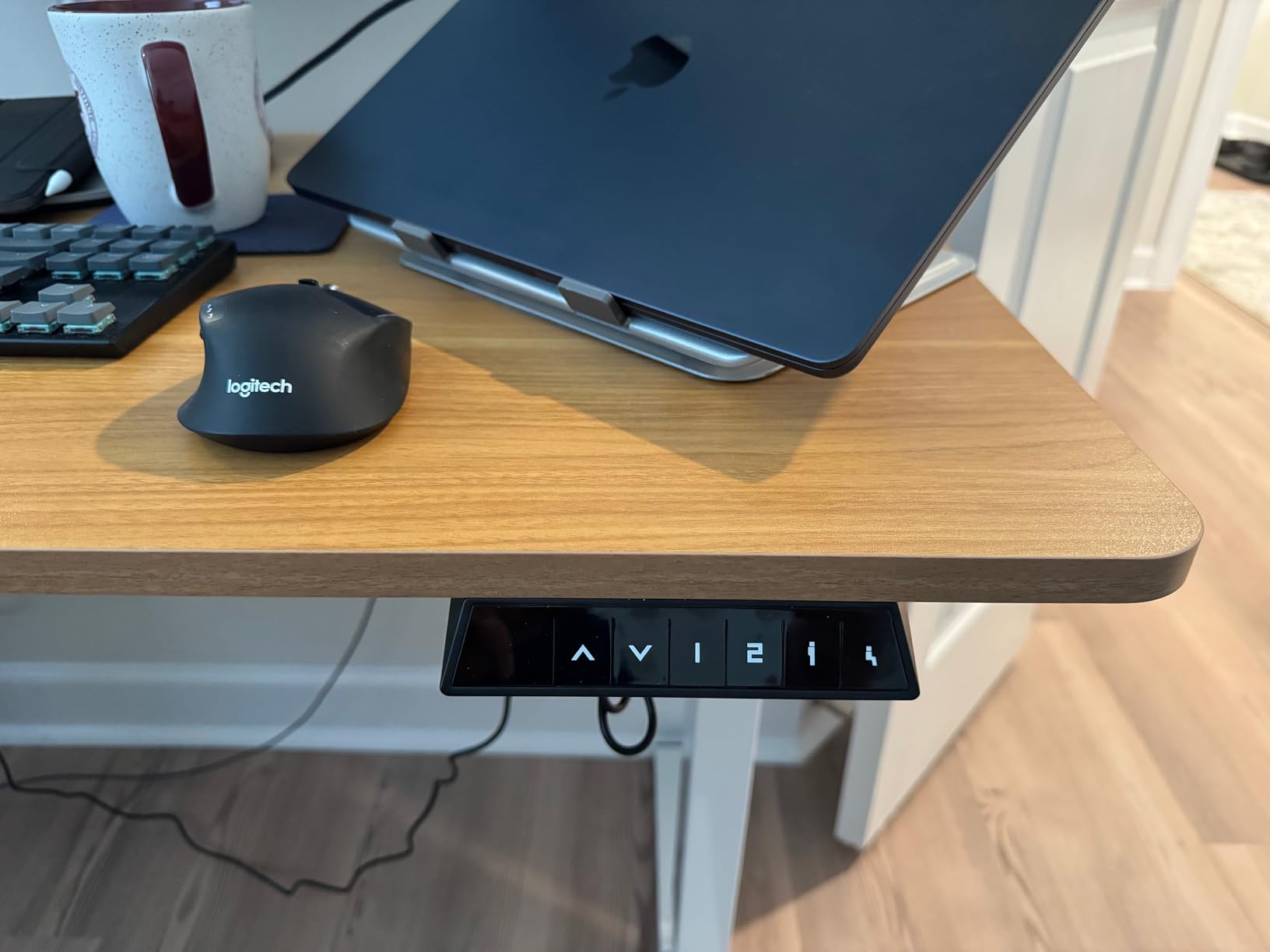 FLEXISPOT EN1 One-Piece Standing Desk, Electric Adjustable with 4 Memory Presets, 176 LBS Capacity, Stable & Quiet, Seamless Desktop for Home Office & Dual Monitors, 48