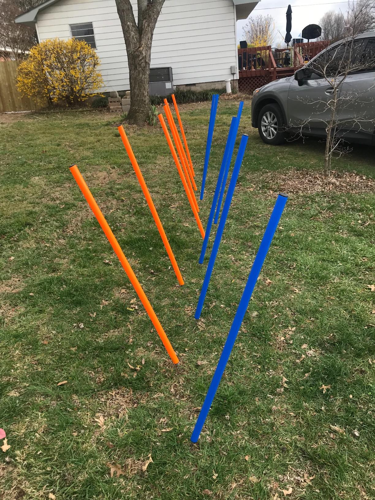 PAWISE Dog Agility Training Equipment, Complete Dog Obstacle Course Kit with Agility Tunnel, Adjustable Hurdle, Weave Poles & Pause Box, Outdoor Dogg Training Set for Backyard & Agility Sports customer photo 1