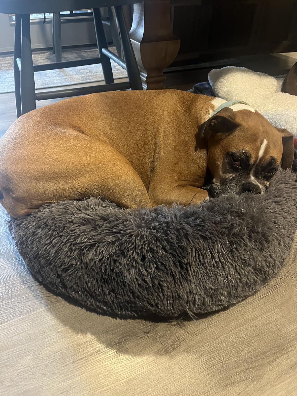 Bedsure Calming Dog Bed for Small Dogs - Donut Washable Small Puppy Bed, 23 inches Anti-Slip Round Fluffy Plush Faux Fur Large Cat Bed, Fits up to 25 lbs Pets, Camel customer photo 2