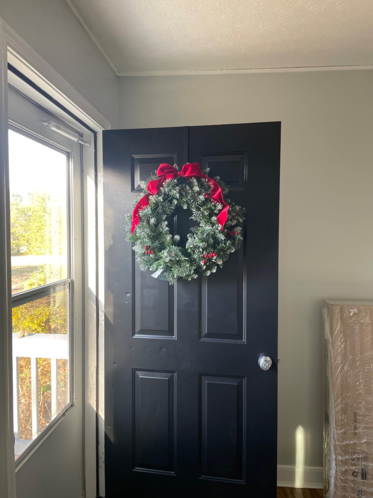 Nearly Natural 24in. Frosted Swiss Pine Artificial Wreath with 35 Clear LED Lights and Berries, Green, 5x24x24 customer photo 1