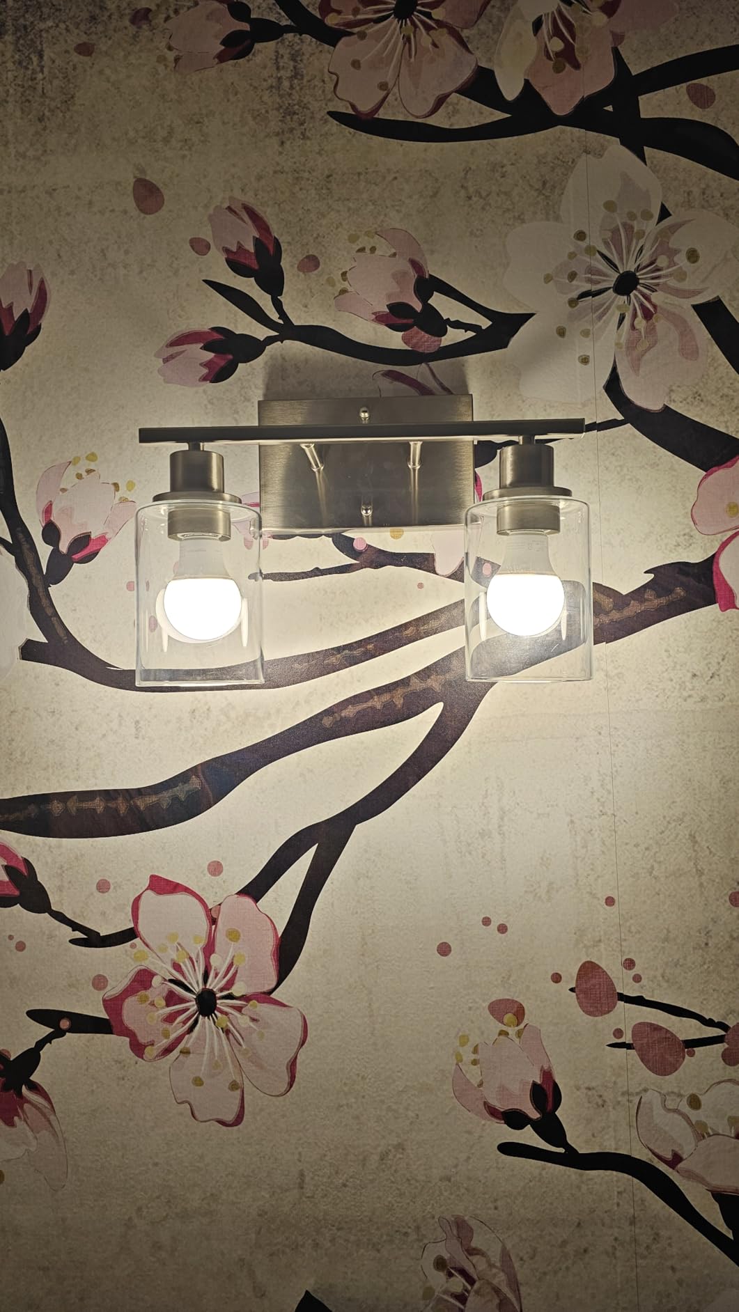 ShineTech 2-Light Bathroom Vanity Light Fixture, Brushed Nickel Bathroom Light Fixtures Over Mirror, Modern Wall Mounted Bathroom Lighting with Clear Glass Shade for Bathroom, Bedroom, Hallway customer photo 2