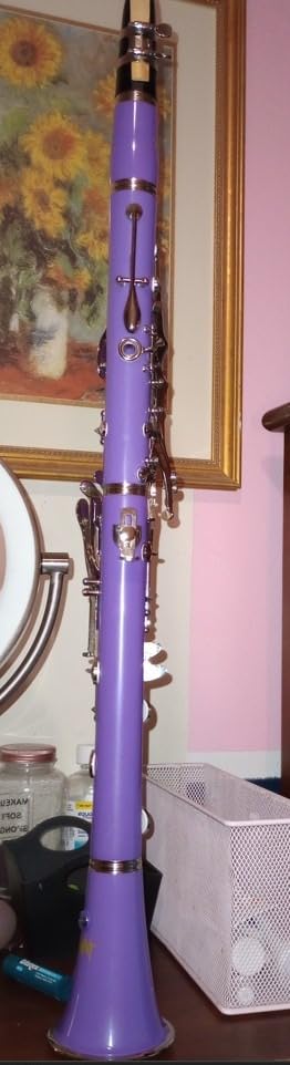 Bb Clarinet For Beginners Students B Flat Clarinet 17 Keys Clarinets with Case Stand Strap 2 Barrels 8 Mouthpiece Cushion White Gloves(Black) customer photo 2