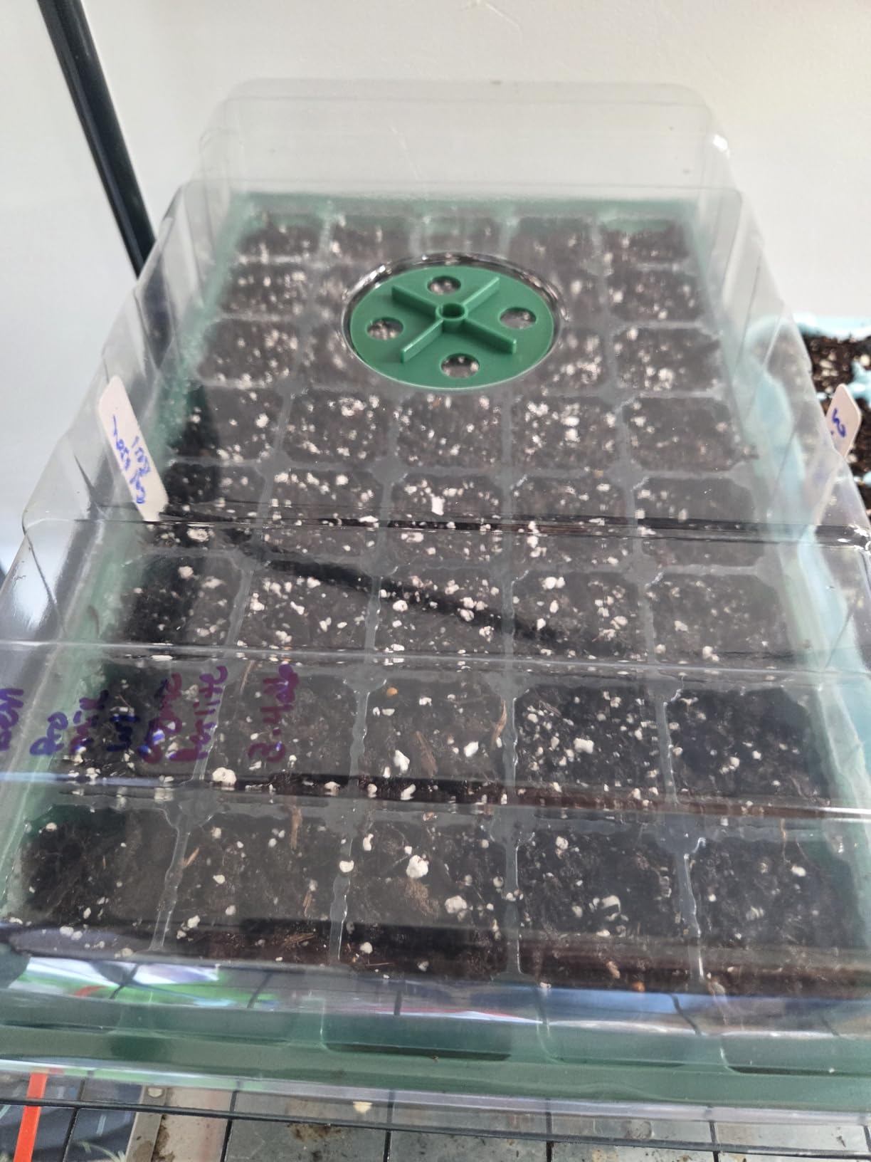 MIXC Seedling Trays Seed Starter Tray, 5-Pack Mini Propagator Plant Greenhouse Grow Kit with Humidity Vented Domes and Base for Seeds' Starting (40 Cells Per Tray, Total 200 Cells), Green customer photo 2