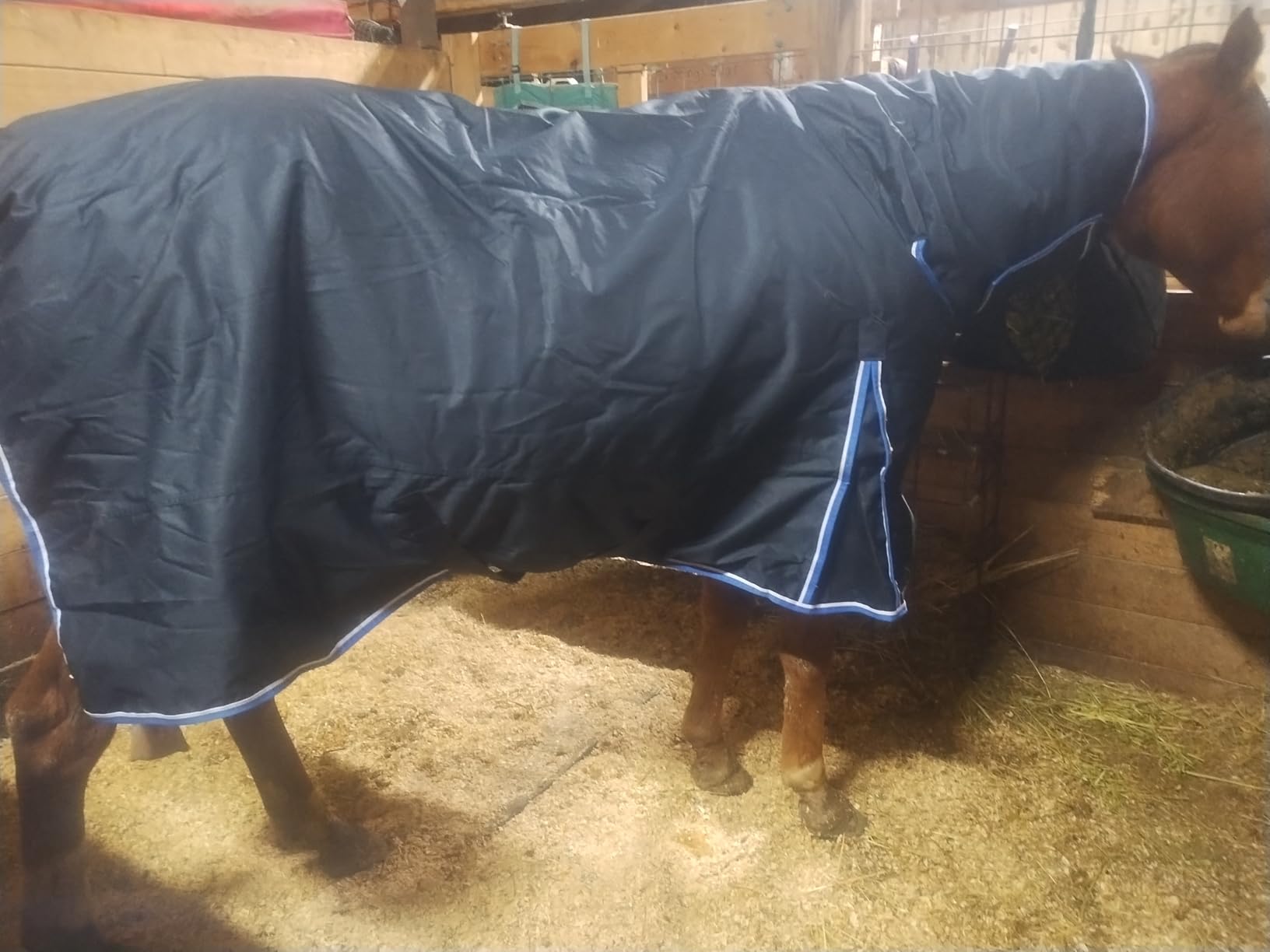 Horze Glasgow Medium Weight Waterproof Combo Turnout Winter Horse Blanket with Neck Cover (150g Fill) customer photo 1