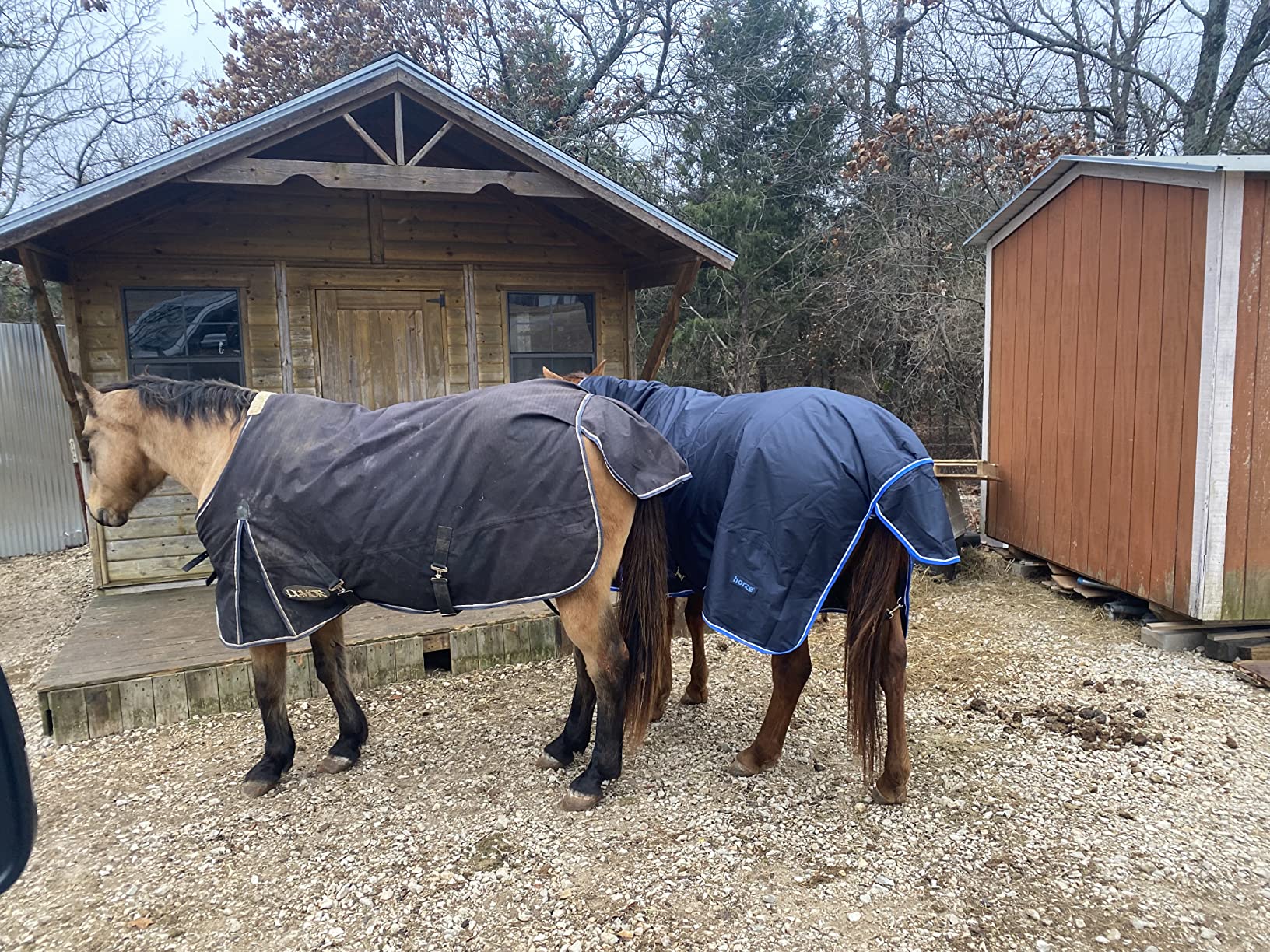 Horze Glasgow Medium Weight Waterproof Combo Turnout Winter Horse Blanket with Neck Cover (150g Fill) customer photo 2