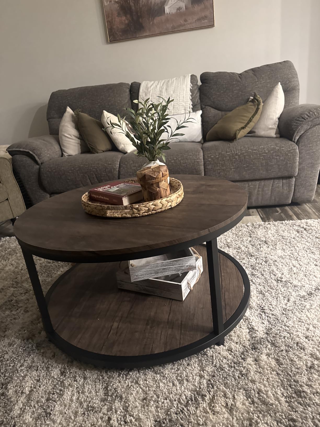 SAFAVIEH Hudson Shag Collection Area Rug - 5'3