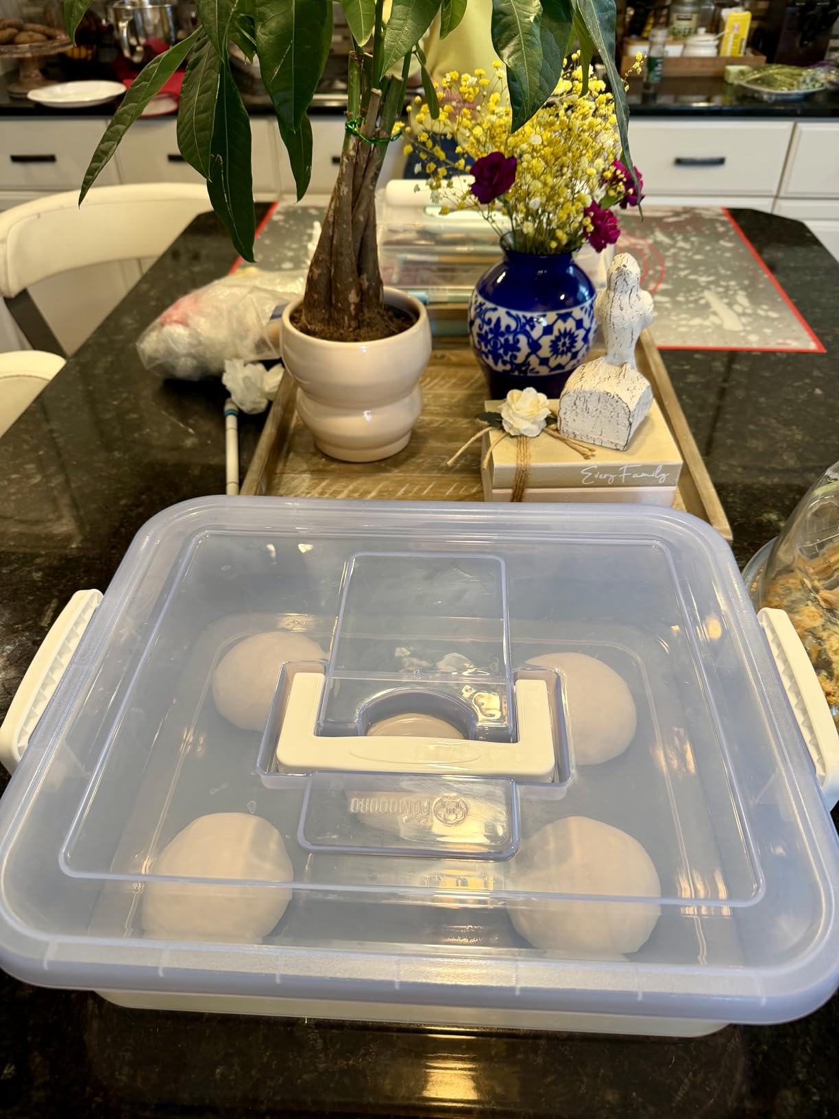 Chef Pomodoro Pizza Dough Proofing Box, 14 x 11-Inch, Preparation Container with Lid, Fits 4-6 Proofing Balls, Household Pizza and Bread Dough Tray With Convenient Carry Handle (Blue) customer photo 1