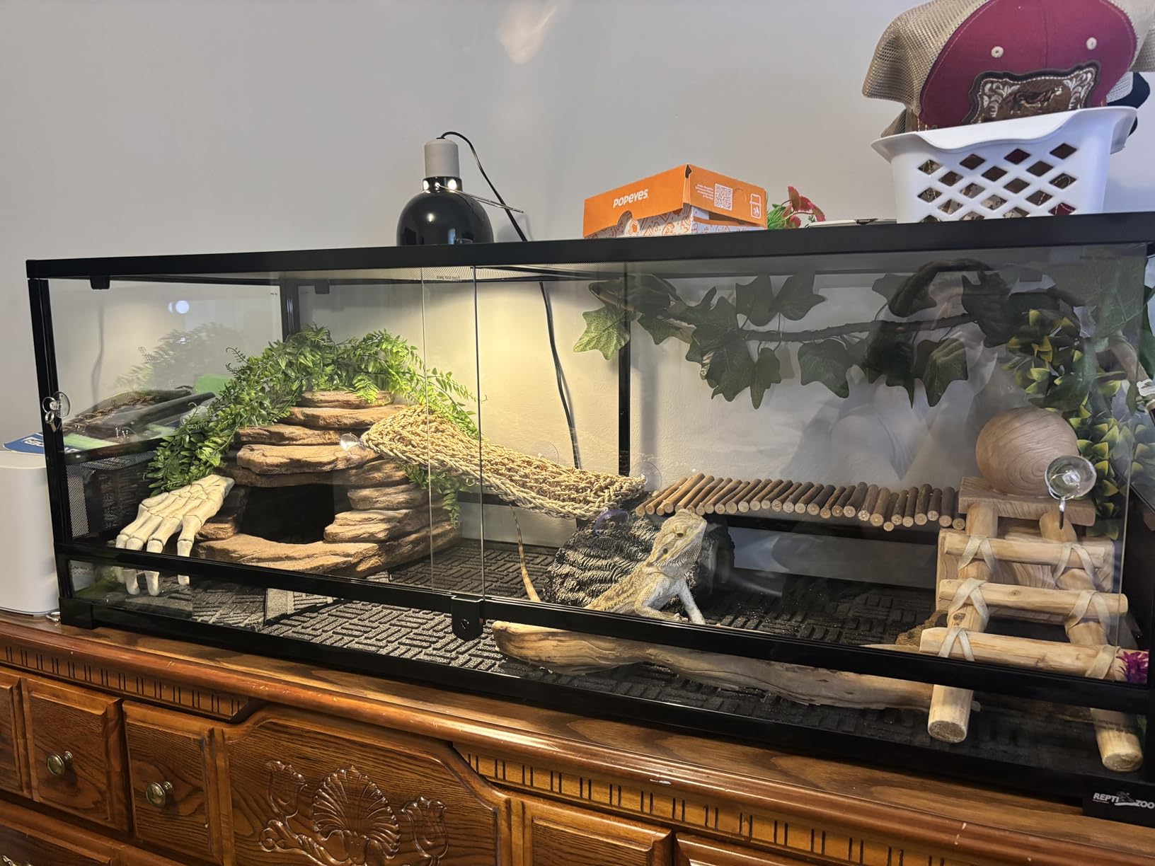 REPTI ZOO 50 Gallon Reptile Glass Tank Terrarium 2 in 1 Double Hinge Door with Screen Ventilation Tempered Glass 36