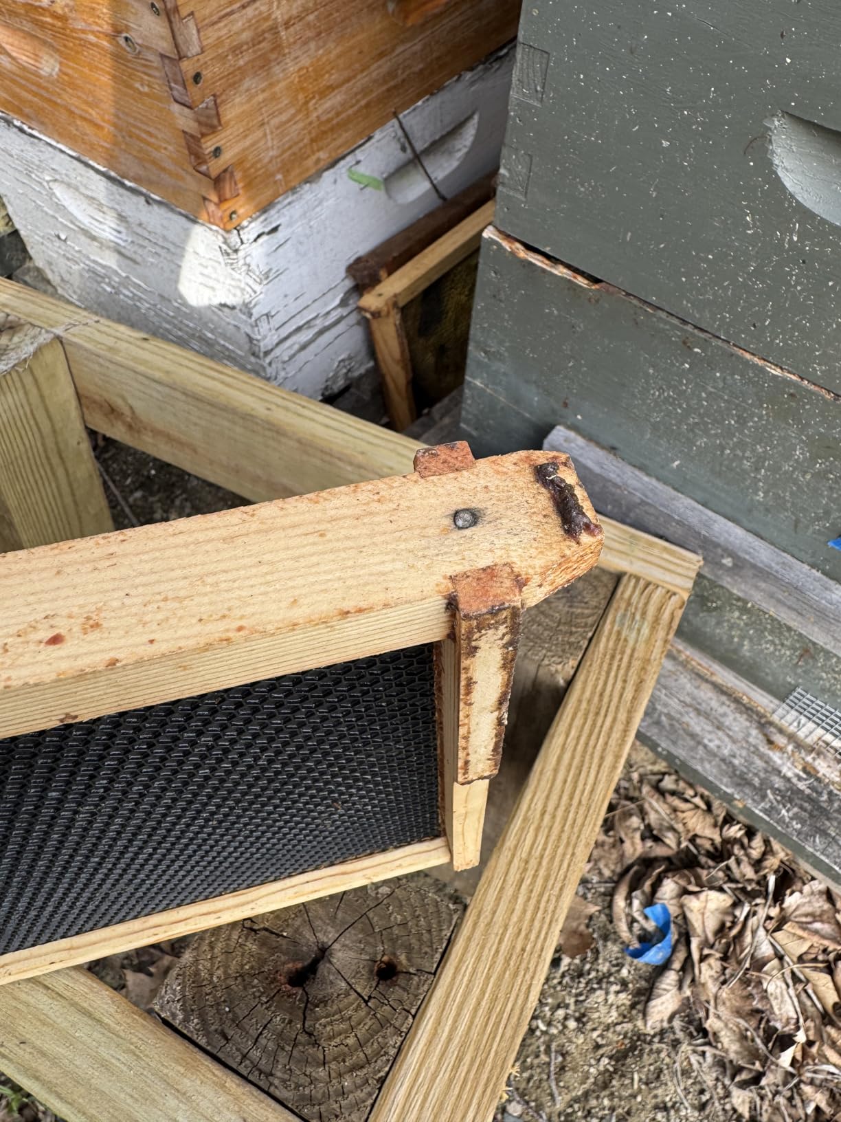 Beehive 10 Frame Bee Hives and Supplies Starter Kit, Bee Hive for Beginner, Honey Bee Hives Includes 1 Deep Brood Hive Box, 1 Bee Hive Super Box with Beehive Frames and Foundations customer photo 1