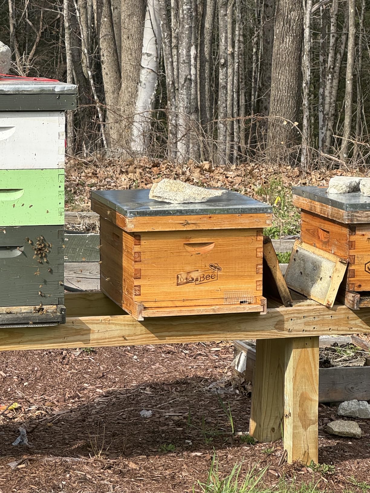 Beehive 10 Frame Bee Hives and Supplies Starter Kit, Bee Hive for Beginner, Honey Bee Hives Includes 1 Deep Brood Hive Box, 1 Bee Hive Super Box with Beehive Frames and Foundations customer photo 2