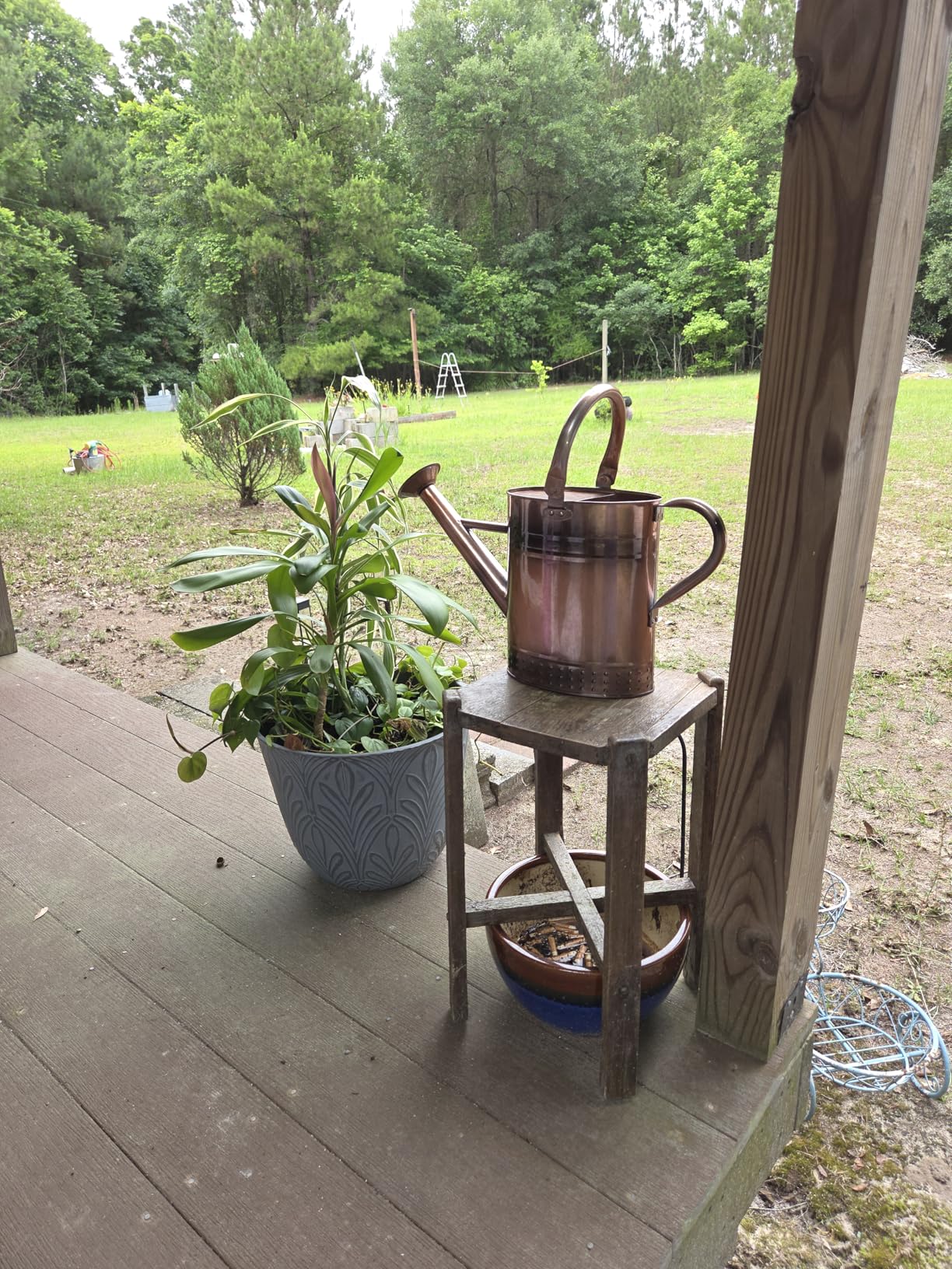 1 Gallon Metal Watering Can with Removable Spout, Nice Galvanized Steel Water Can with Embossed Design for Indoor and Outdoor Plants customer photo 1