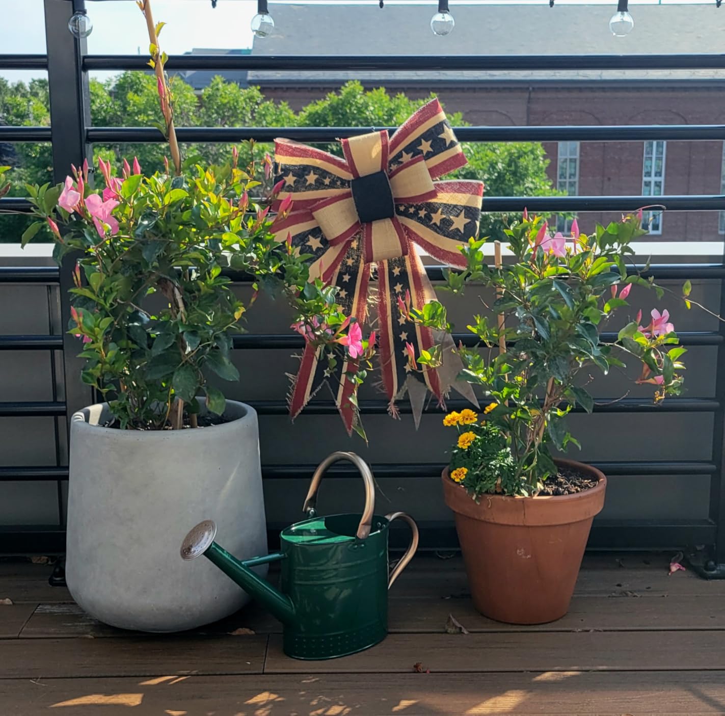 1 Gallon Metal Watering Can with Removable Spout, Nice Galvanized Steel Water Can with Embossed Design for Indoor and Outdoor Plants customer photo 2