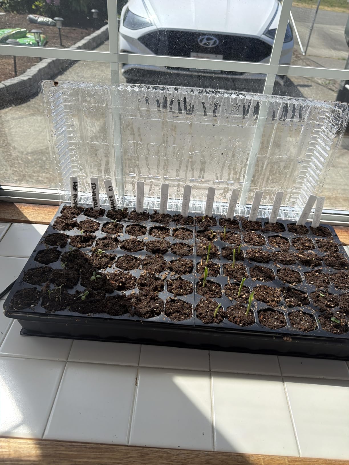 BN-LINK Durable Seedling Heat Mat for Seed Starting 10