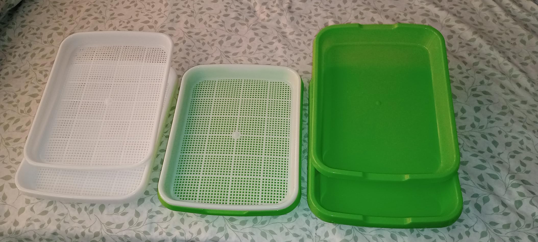Gardzen 5-Pack Sprouts Growing Kit, Bean Sprouts Tray, Soil-Free Sprouting Tray, Ideal for Mung, Wheatgrass, Indoor Gardening customer photo 2