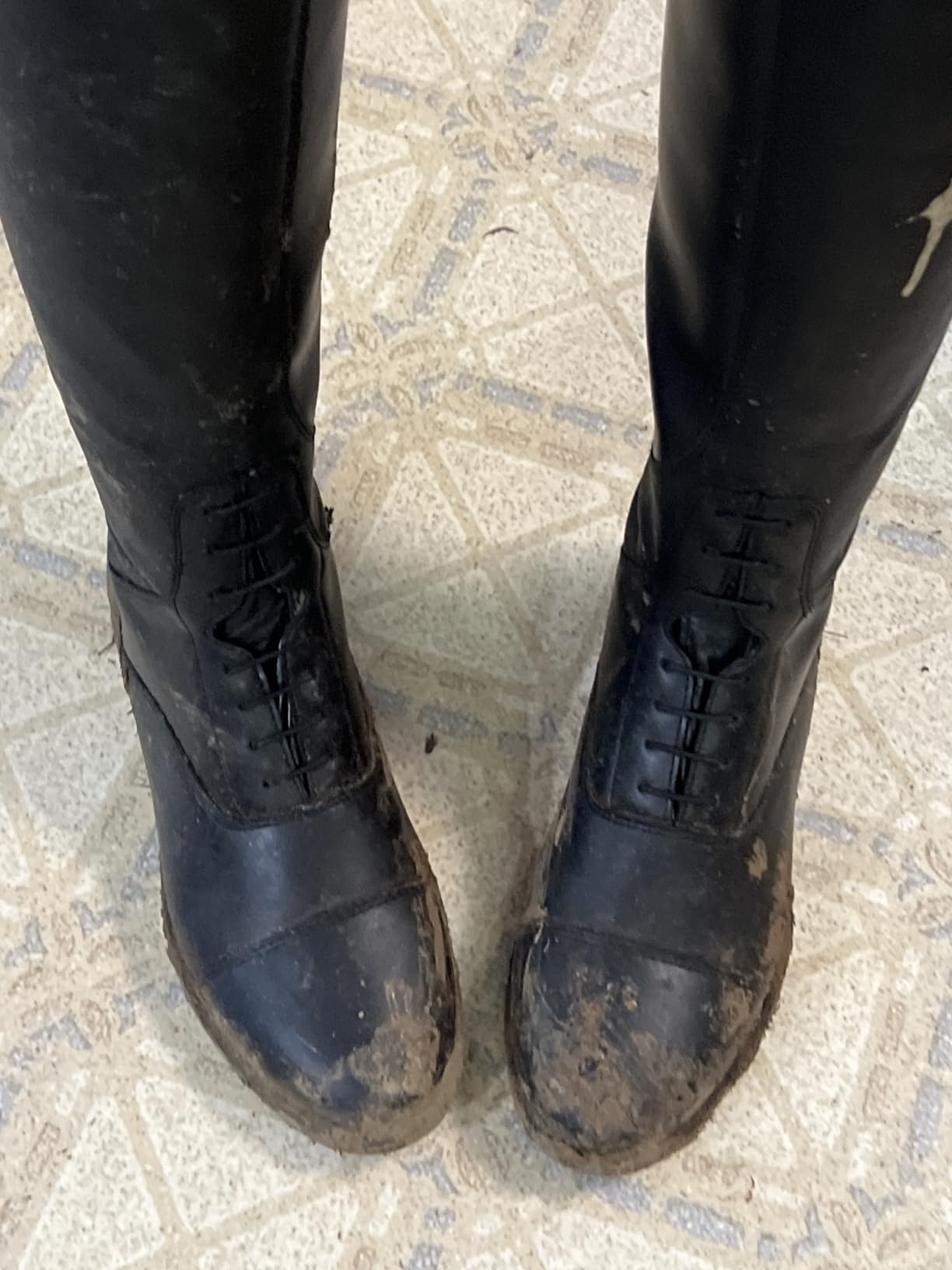 HORZE Rover Women's Synthetic Leather Equestrian Boots, Durable and Comfortable Horse Riding Boots for Women with Rear Zipper for Show, Stable and Arena Use, Everyday Training for Horseback Riders customer photo 2