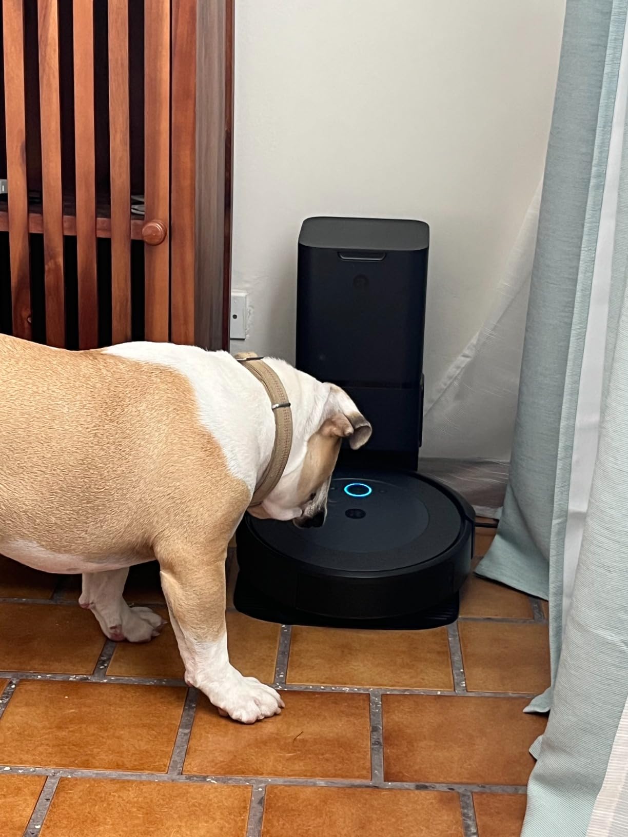 iRobot Roomba i4+ EVO Self Emptying Robot Vacuum - Empties Itself for up to 60 Days, Clean by Room with Smart Mapping, Compatible with Alexa, Ideal for Pet Hair, Carpets customer photo 1