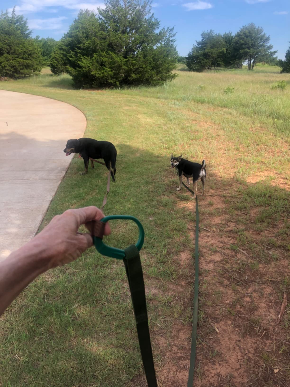 Kensington Protective Products Horse Tie - Revolutionary Safety with Quick Release Design (Sold 2 Per Pack) customer photo 1