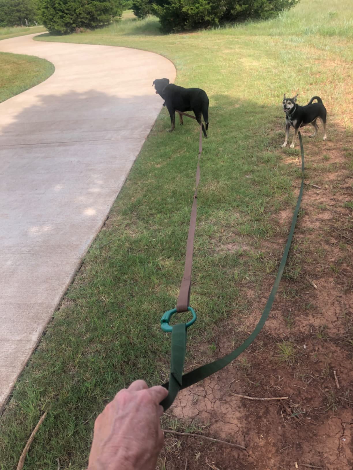 Kensington Protective Products Horse Tie - Revolutionary Safety with Quick Release Design (Sold 2 Per Pack) customer photo 2