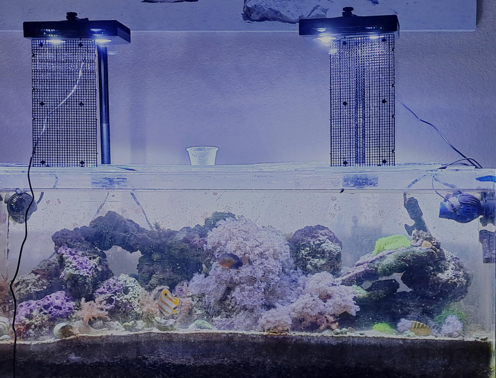 Aquarium Light - 95 Watt Sunrise Sunset Moonlight, Group Control Program Coral Reef Light Dimmable Full Spectrum for Marine Tanks, Saltwater Tank Light with Timer (Brackets) customer photo 2