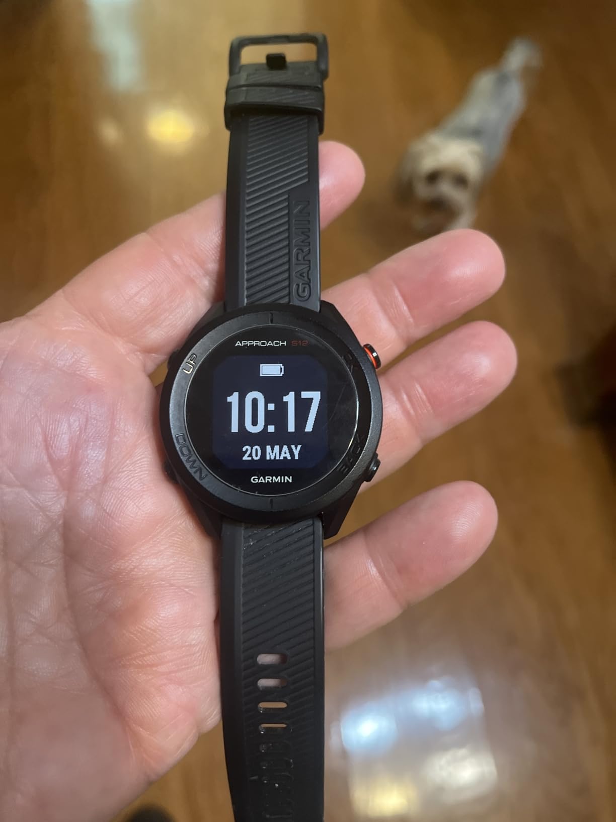 Garmin Approach S12, Easy-to-Use GPS Golf Watch, 42k+ Preloaded Courses, Black, 010-02472-00 customer photo 1