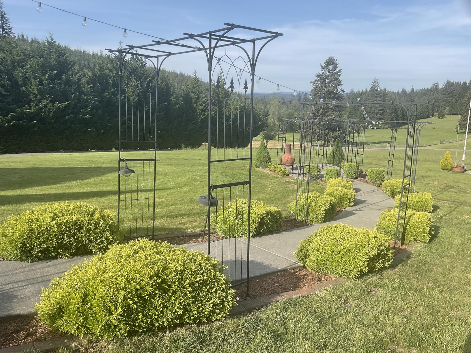 VINGLI Garden Arbor, Arch Archway for Wedding Ceremony Party, Steel Garden Trellis for Plant Climbing, Christmas Decorations Pergola for Backyard, Lawn (Black) customer photo 2