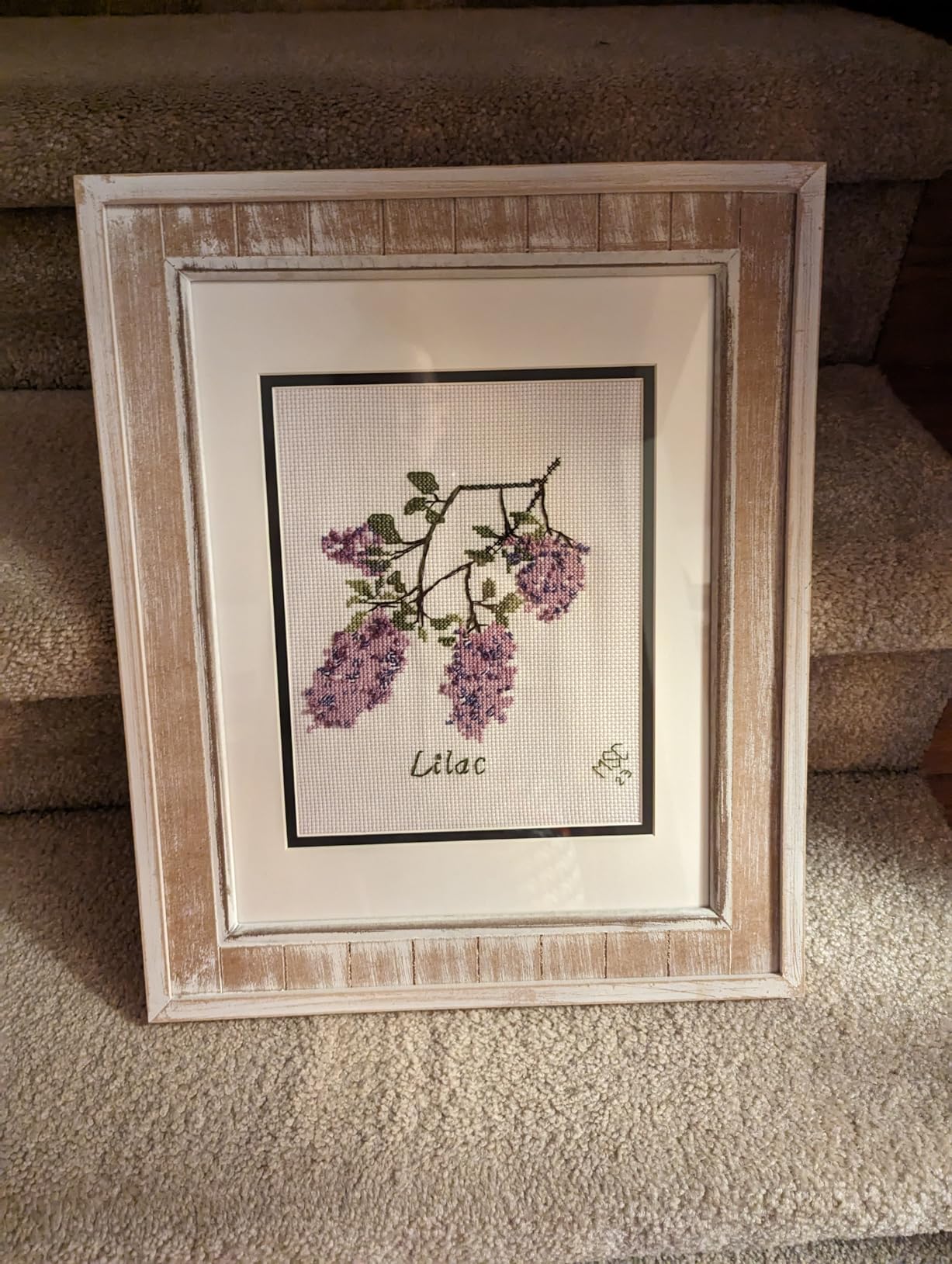 Awesocrafts Cross Stitch Kits Little Turtle Looking for Mom 11CT Stamped Patterns Easy Cross Stitching Embroidery Needlework Kit Supplies customer photo 2