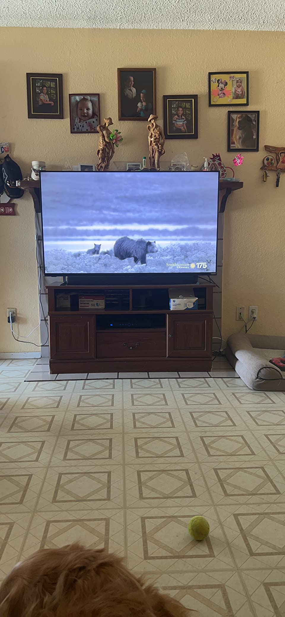 VIZIO 65-Inch M-Series 4K QLED HDR Smart TV w/Voice Remote, Dolby Vision, HDR10+, Alexa Compatibility, M65Q7-J01, 2021 Model customer photo 2