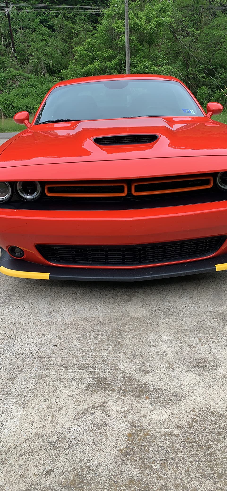Chemical Guys Wheelie All Exterior Surface and Wheel Brush, Wheel Cleaner Brush with Soft Bristles, Safe Cleaning of Rims, Tires, and Exterior Surfaces on Cars, Trucks, Motorcycles, RVs, & More, Green customer photo 1