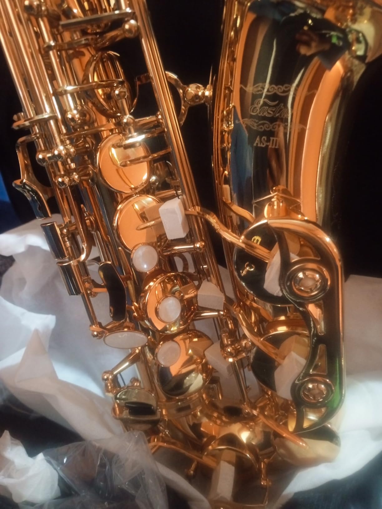 Eastar Professional Alto Saxophone Golden E Flat Eb with Cleaning Kit, Carrying Case, Mouthpiece, Neck Strap, Reeds, Stand, AS-III customer photo 1