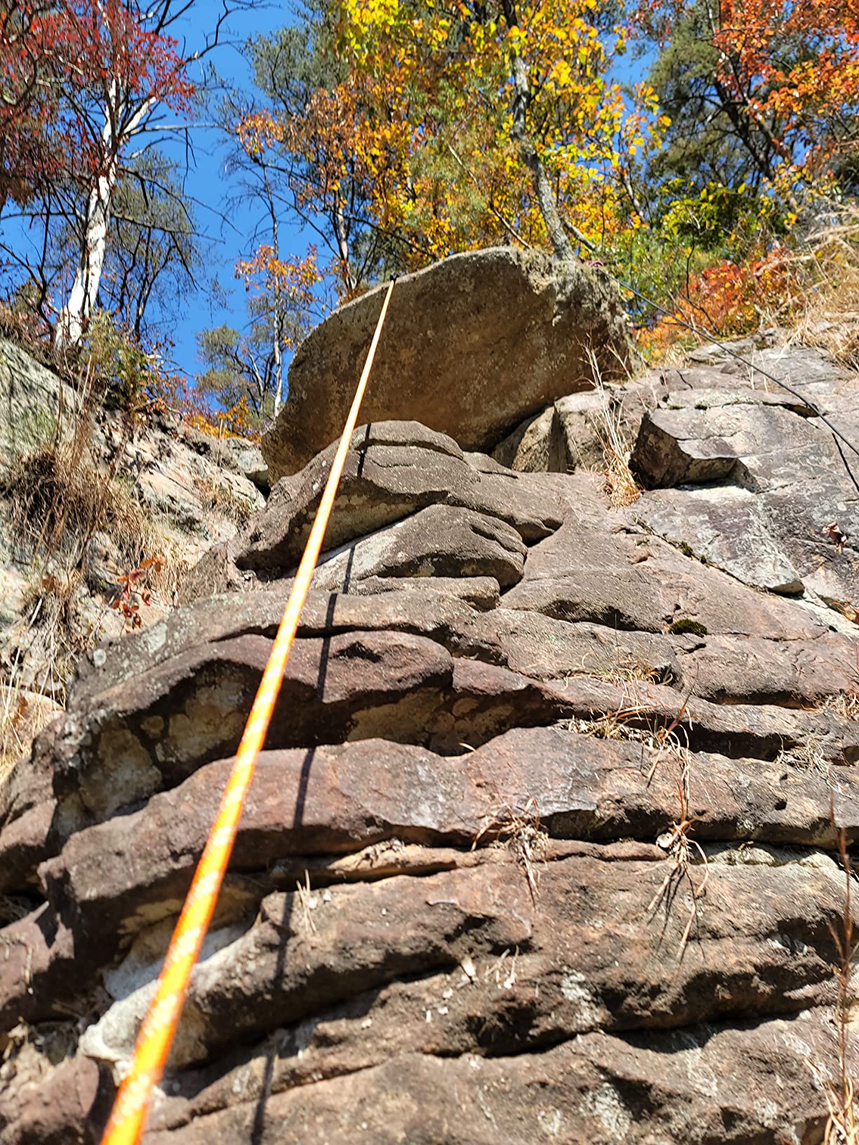 Nice C Climbing Rope, Rescue Rope, Construction Rope, Rock Climbing Rope, Static 10mm 32ft/64ft/96ft/160ft/230ft/500ft/985ft/1000ft with Carry Bag (Orange, 50M(160ft)) customer photo 1