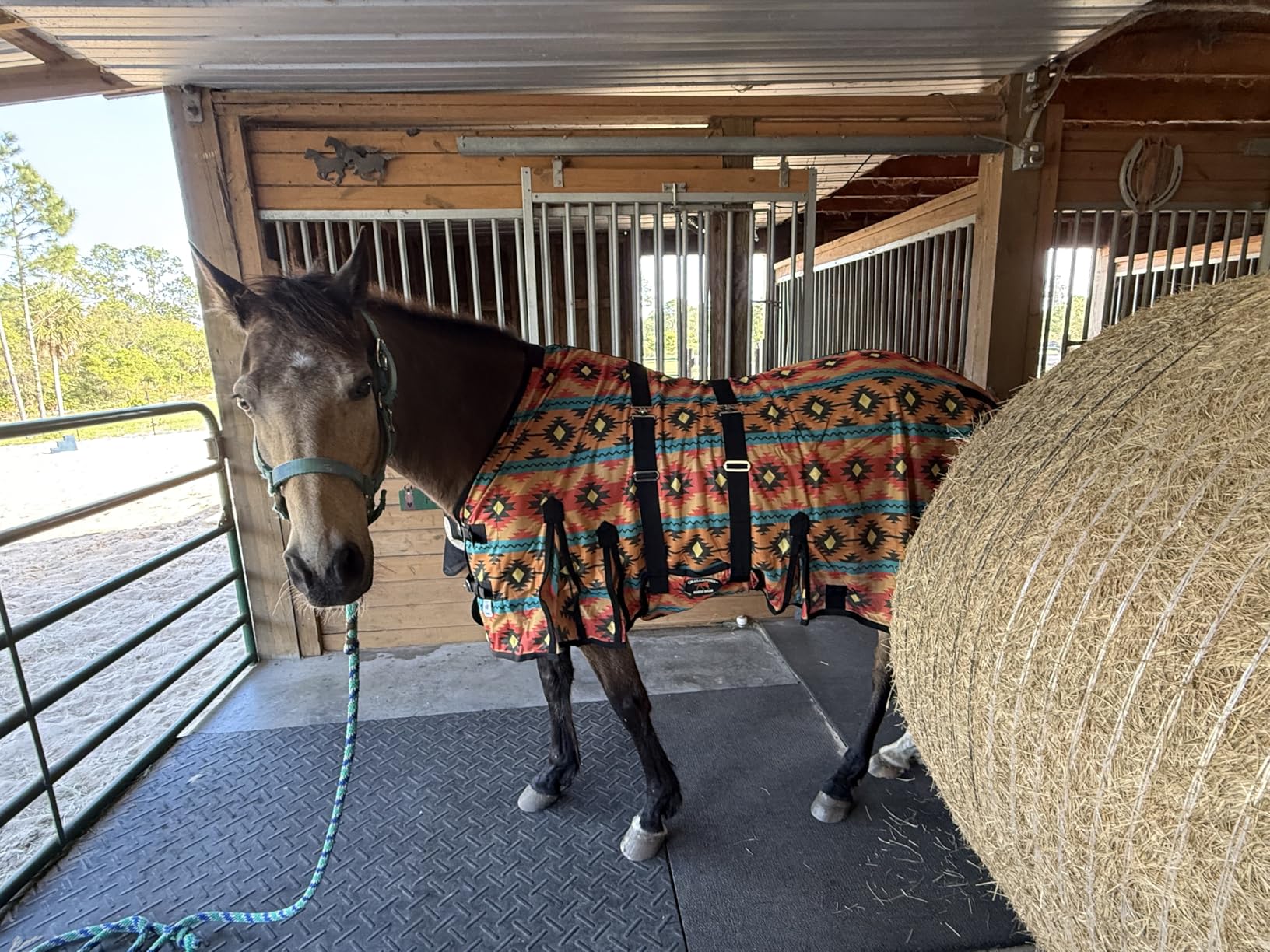 Challenger Horse Mesh Light Weight Summer Sheet Fly Sheet Protection Airflow Teal 73430 customer photo 1
