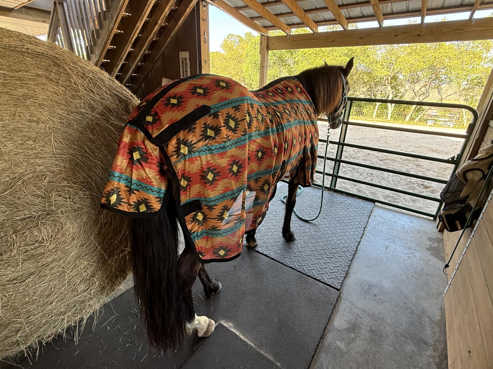 Challenger Horse Mesh Light Weight Summer Sheet Fly Sheet Protection Airflow Teal 73430 customer photo 2