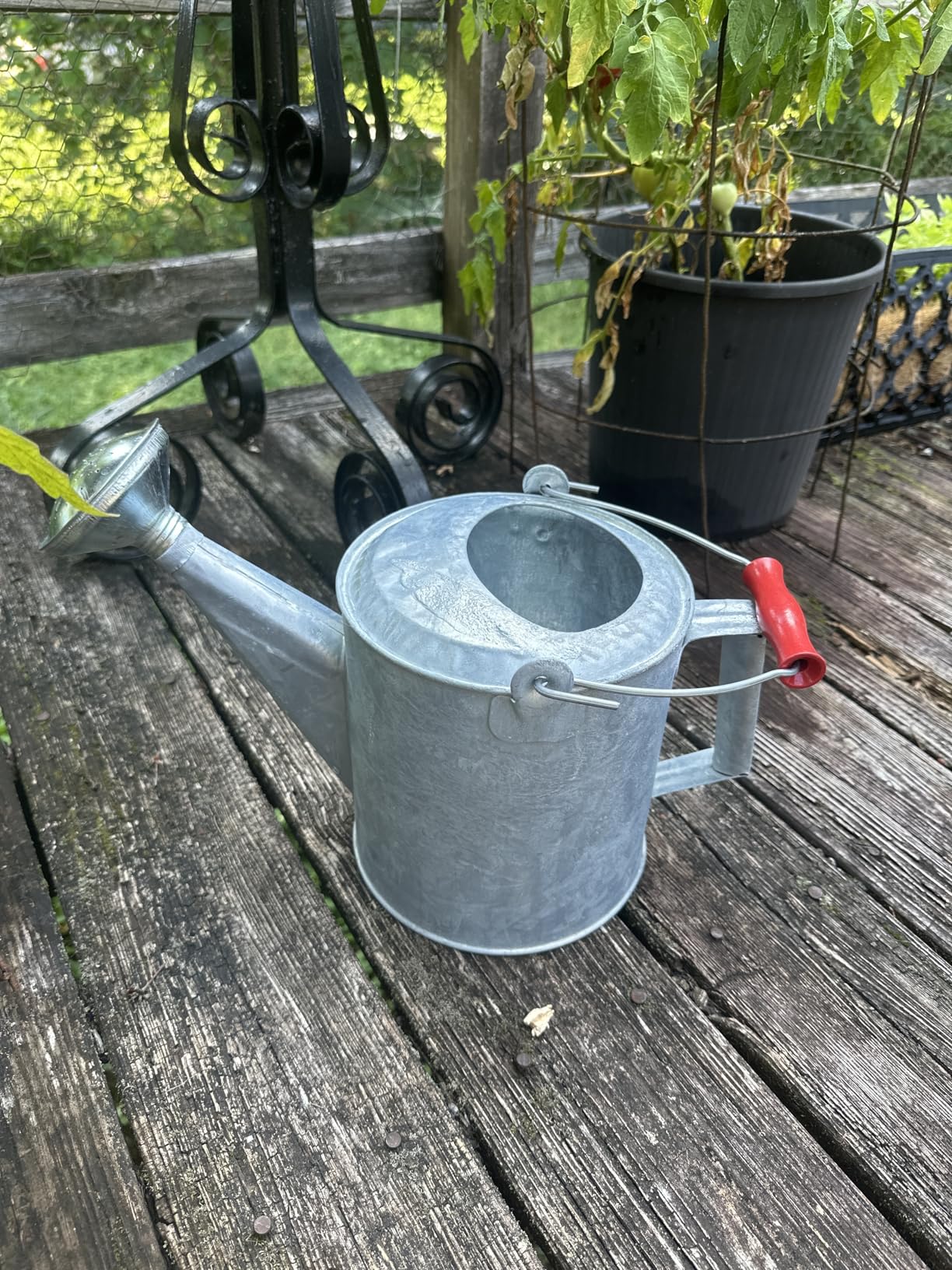 Behrens 2.5 Gallon Hot Dipped Steel Watering Can customer photo 2