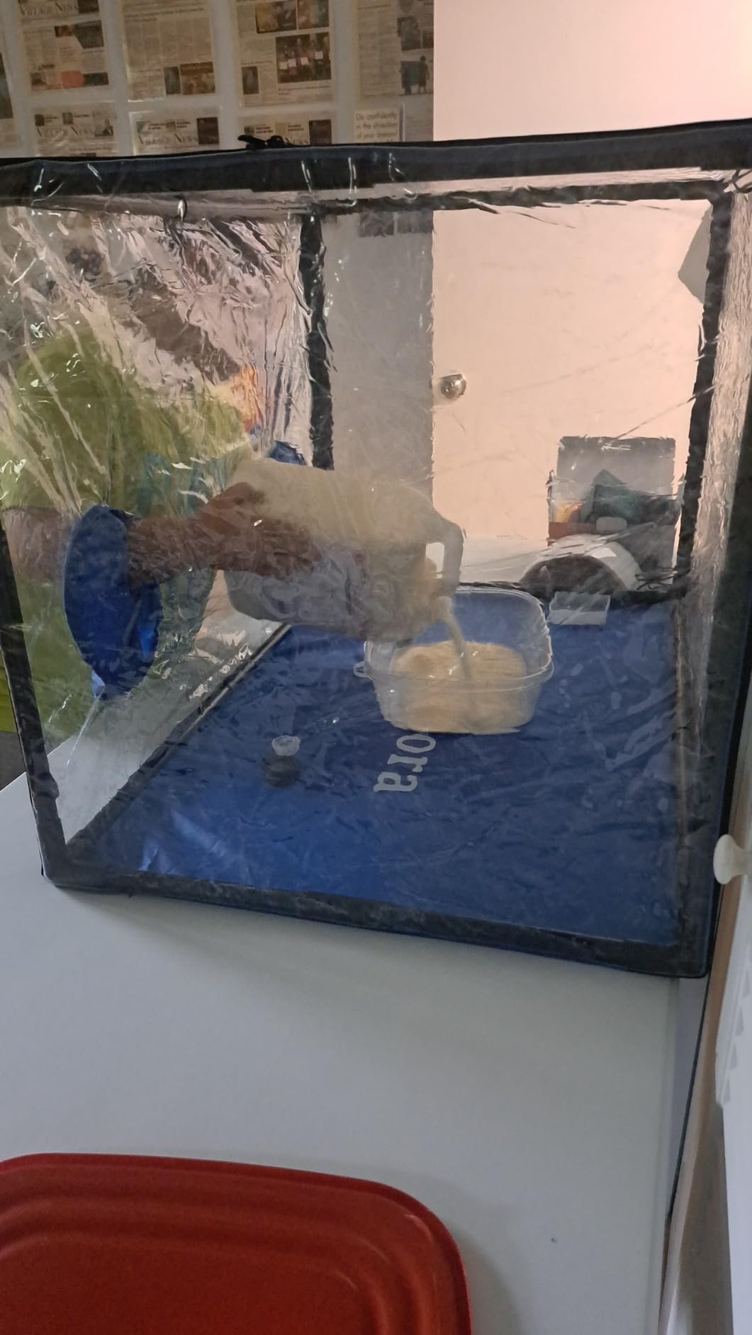 Still Air Box Mycology (Sturdy) Mushroom Grow Box Alt to Laminar Flow Hood Fume Hood for Lab Mycology Supplies by USA Mycologists V2 (Updated) customer photo 1