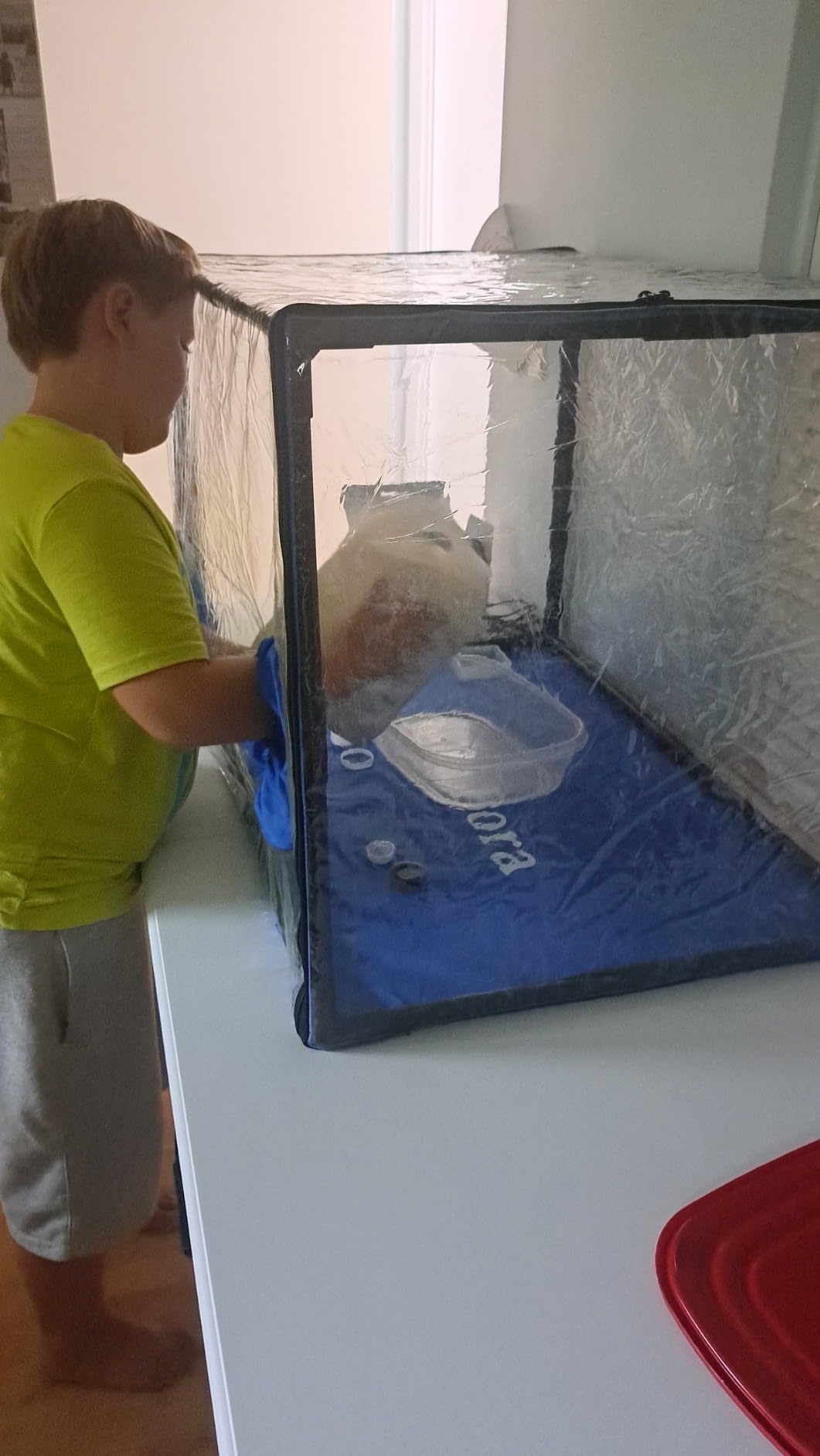Still Air Box Mycology (Sturdy) Mushroom Grow Box Alt to Laminar Flow Hood Fume Hood for Lab Mycology Supplies by USA Mycologists V2 (Updated) customer photo 2
