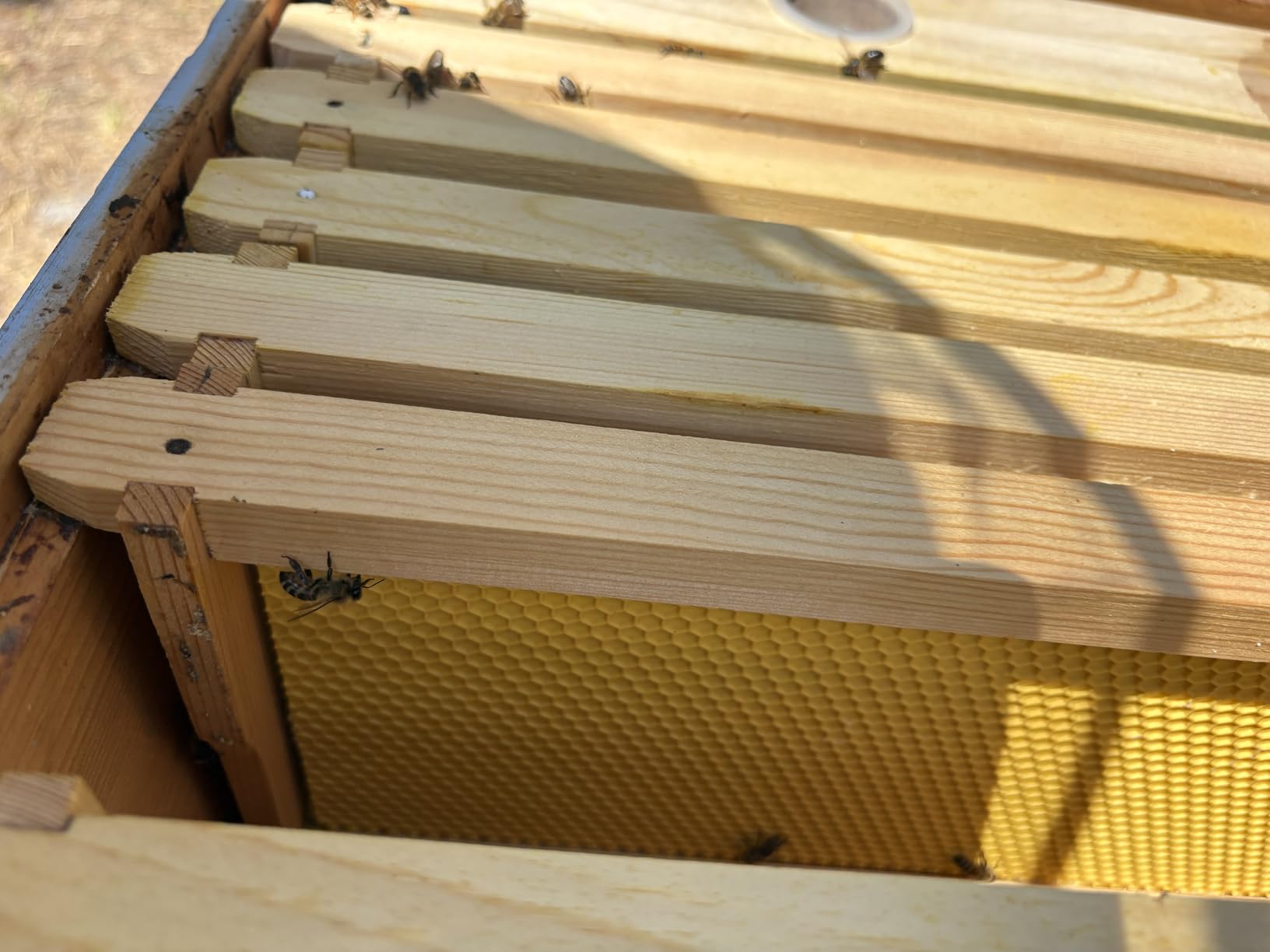 POLLIBEE Medium or Super Bee Hive Frames and Wax Foundations,10 Pack Honey Bee Frames with Beeswax Coated Food Grade Foundation Sheets, Beekeeping Supplies,6-1/4-Inch (Yellow) customer photo 1