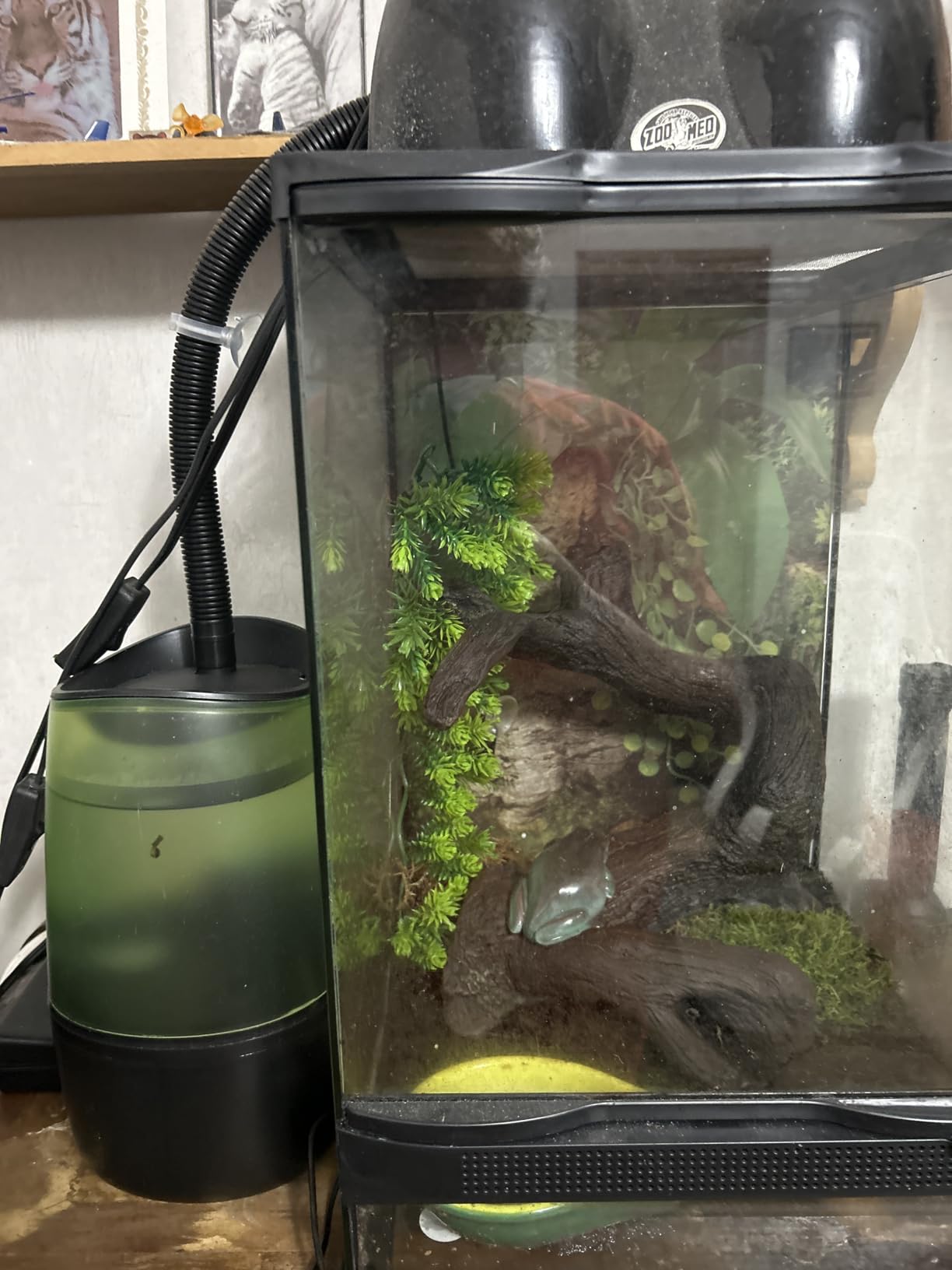 REPTI ZOO Reptile Automatic Fogger 2 IN 1 Digital Timing & Hygrostat Humidifier Remote Control 4L Large Tank Reptile Terrarium Fogger with Extended Hose customer photo 1