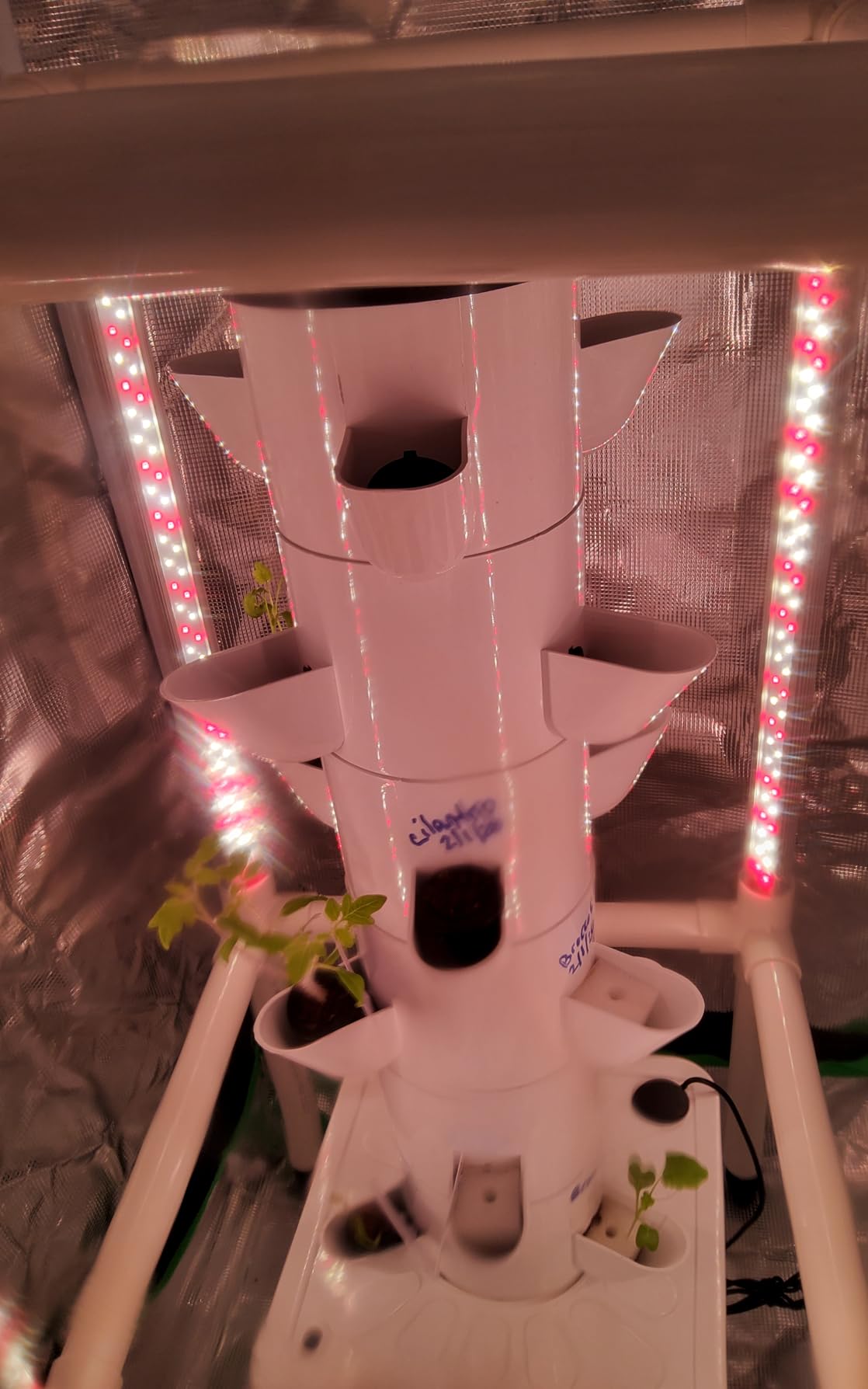 2x2 Grow Tent, 24