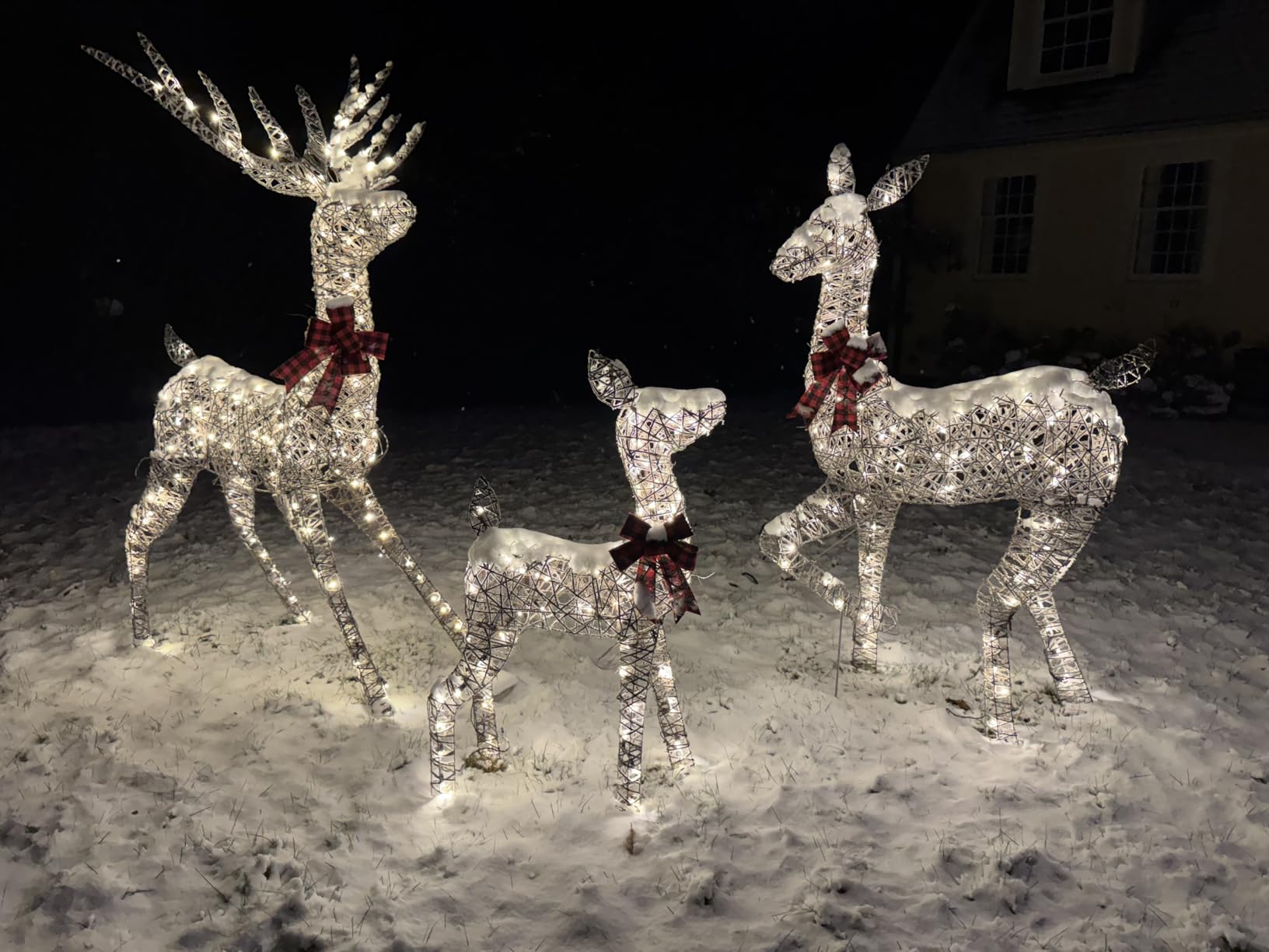 Best Choice Products 3-Piece Large Lighted Christmas Deer Family Set 5Ft Outdoor Yard Decoration with 360 LED Lights, Stakes, Zip Ties - White customer photo 1