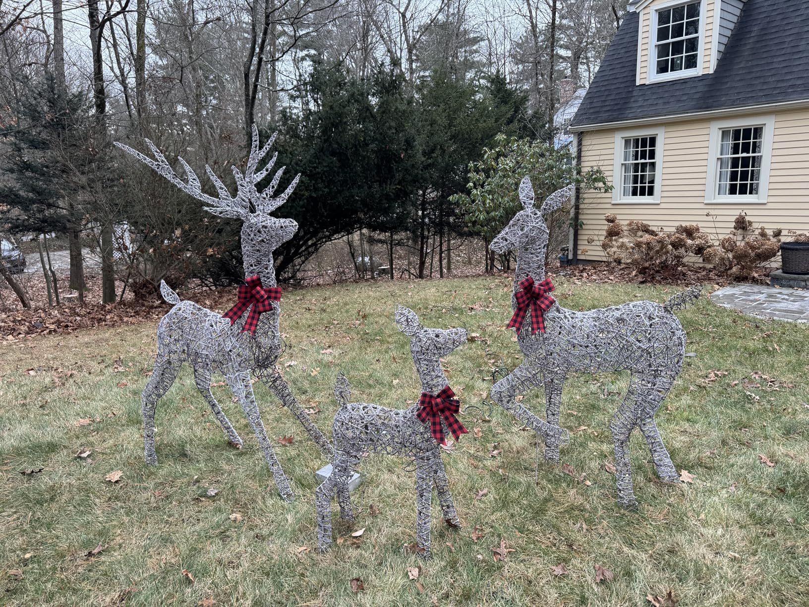 Best Choice Products 3-Piece Large Lighted Christmas Deer Family Set 5Ft Outdoor Yard Decoration with 360 LED Lights, Stakes, Zip Ties - White customer photo 2