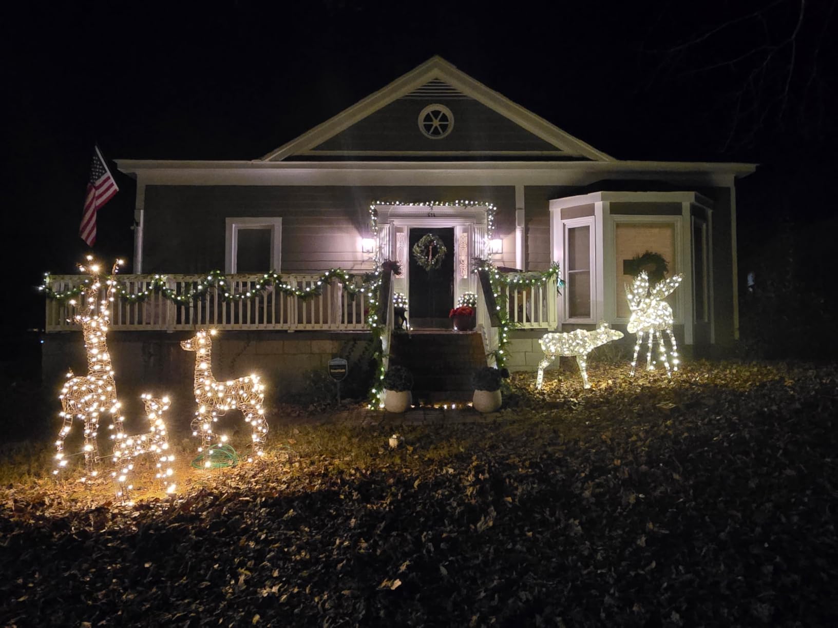Best Choice Products 2-Piece Moose Family, Lighted Outdoor All-Weather Christmas Yard Decoration Light-Up Décor Set w/ 170 LED Lights, Ground Stakes, Zip Ties - Gold customer photo 2