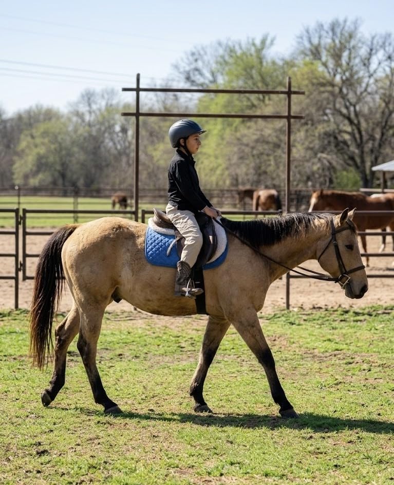 Troxel Sport 2.0 Injection Molded Horse Riding Helmet, Lightweight Adjustable Design, Safety Horseback Riding Gear customer photo 1