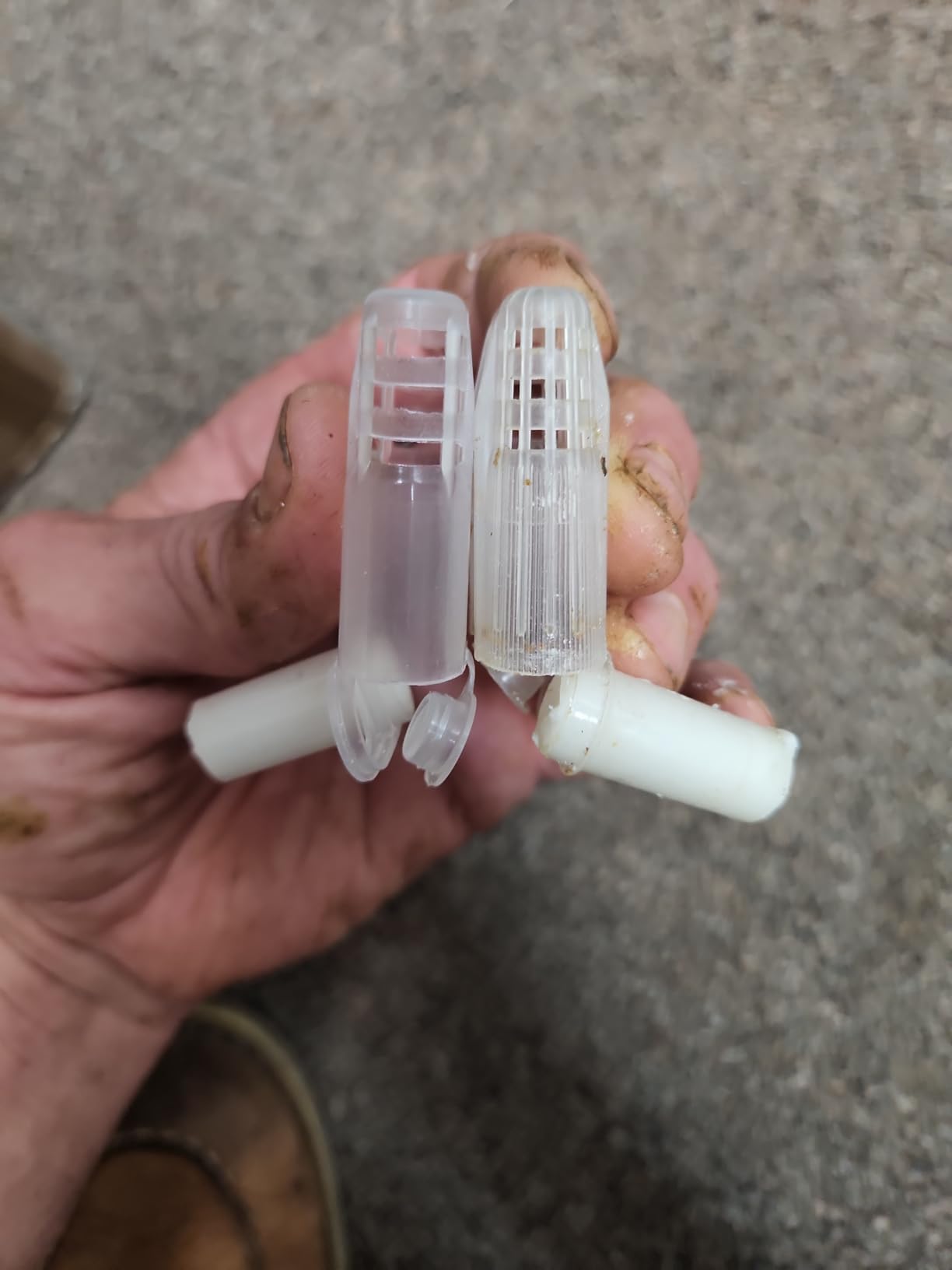 20pcs White Queen Bee Cages Beekeeping Catcher Plastic Bee Isolator Clip Beekeeper Rearing Tools for Indoor Home Outdoor customer photo 1