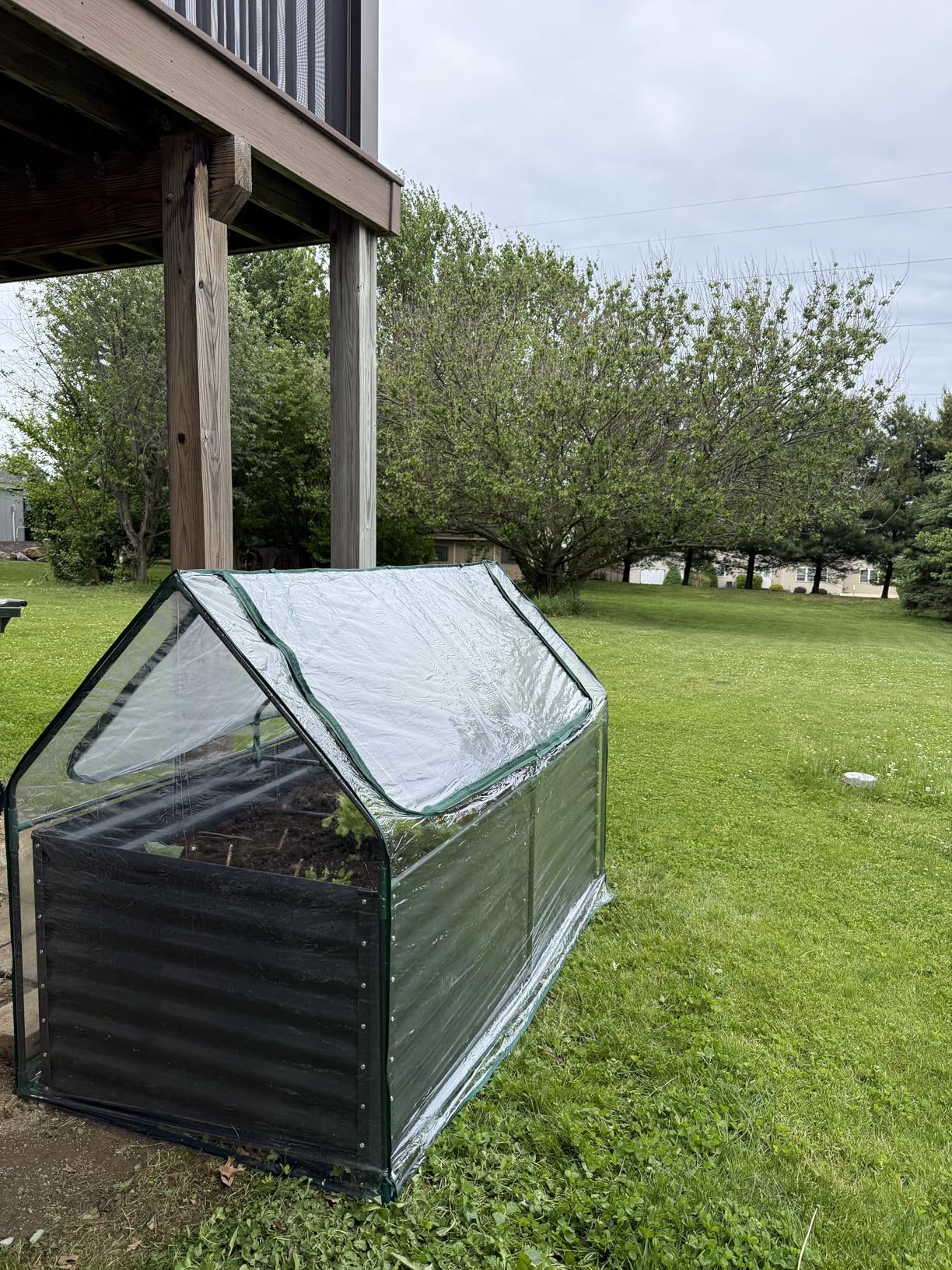 Quictent Raised Garden Bed with Cover Outdoor Galvanized Metal Planter Box Kit, w/ 2 Large Screen Windows Mini Greenhouse 20pcs T Tags 1 Pair of Gloves Included for Growing Vegetables 6x3x1ft (Clear) customer photo 2