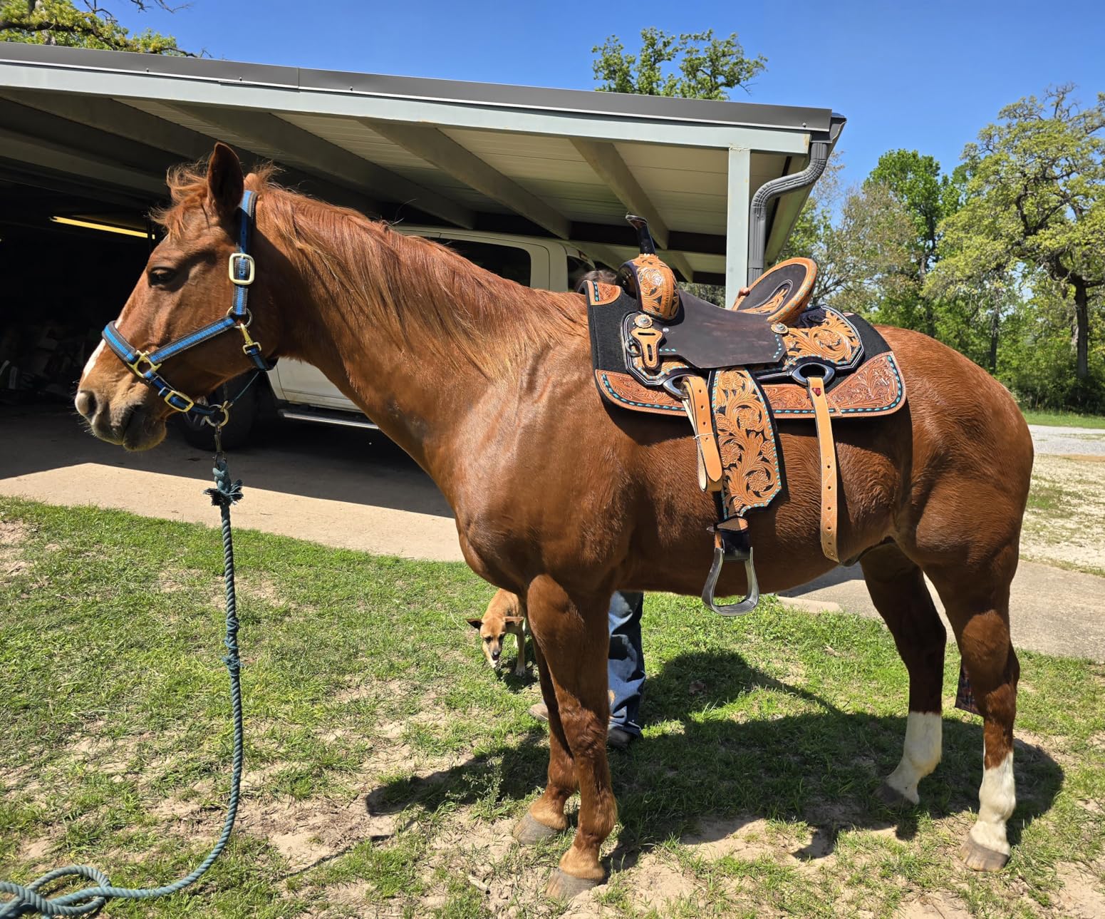 Tough 1 Ranahan Felt Saddle Pad customer photo 1