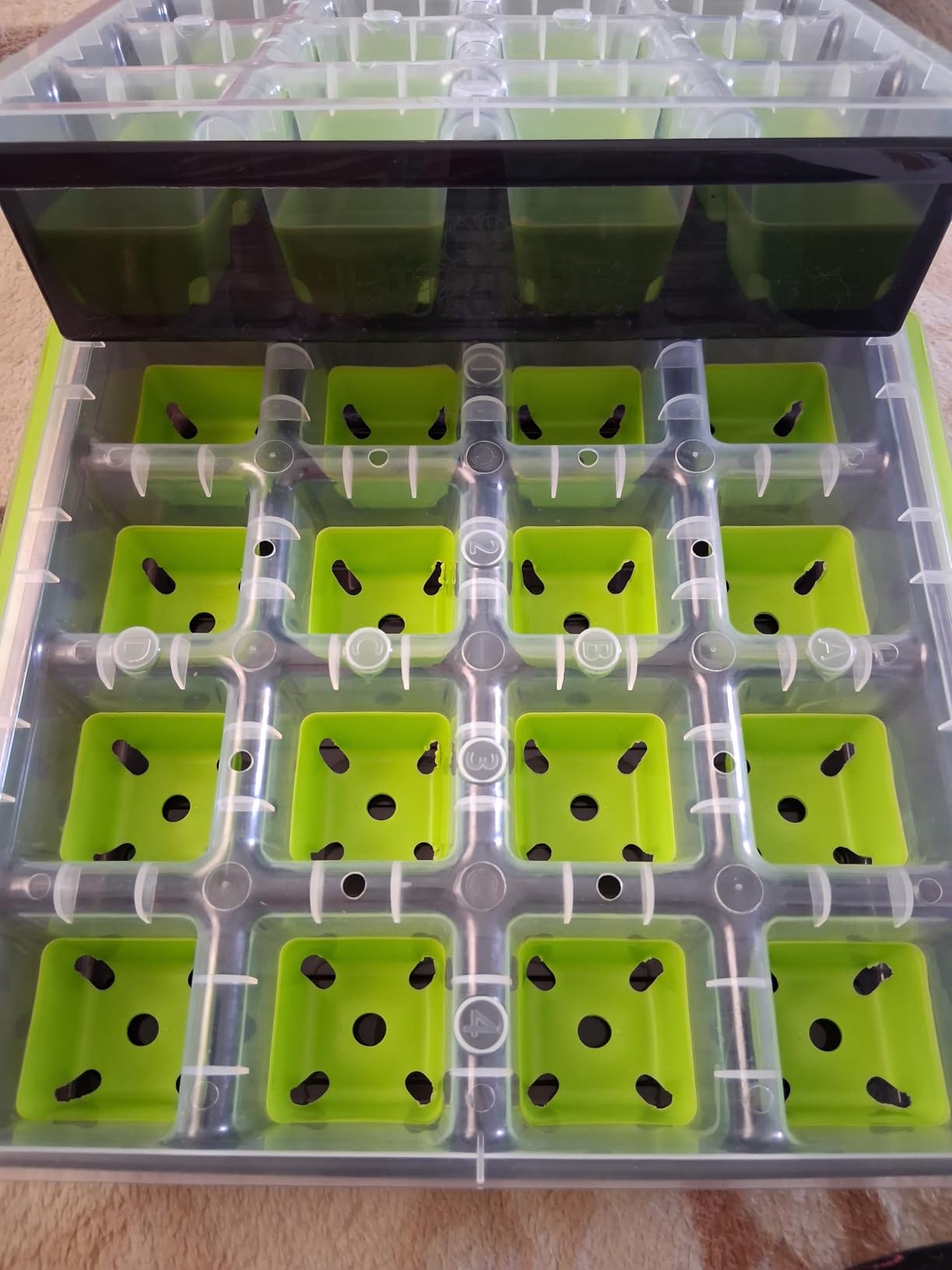 Burpee SuperSeed Seed Starting Tray | 36 Cell Reusable Seed Starter Tray | for Starting Vegetable, Flower & Herb Seeds | Indoor Grow Kit for Plant Seedlings customer photo 1