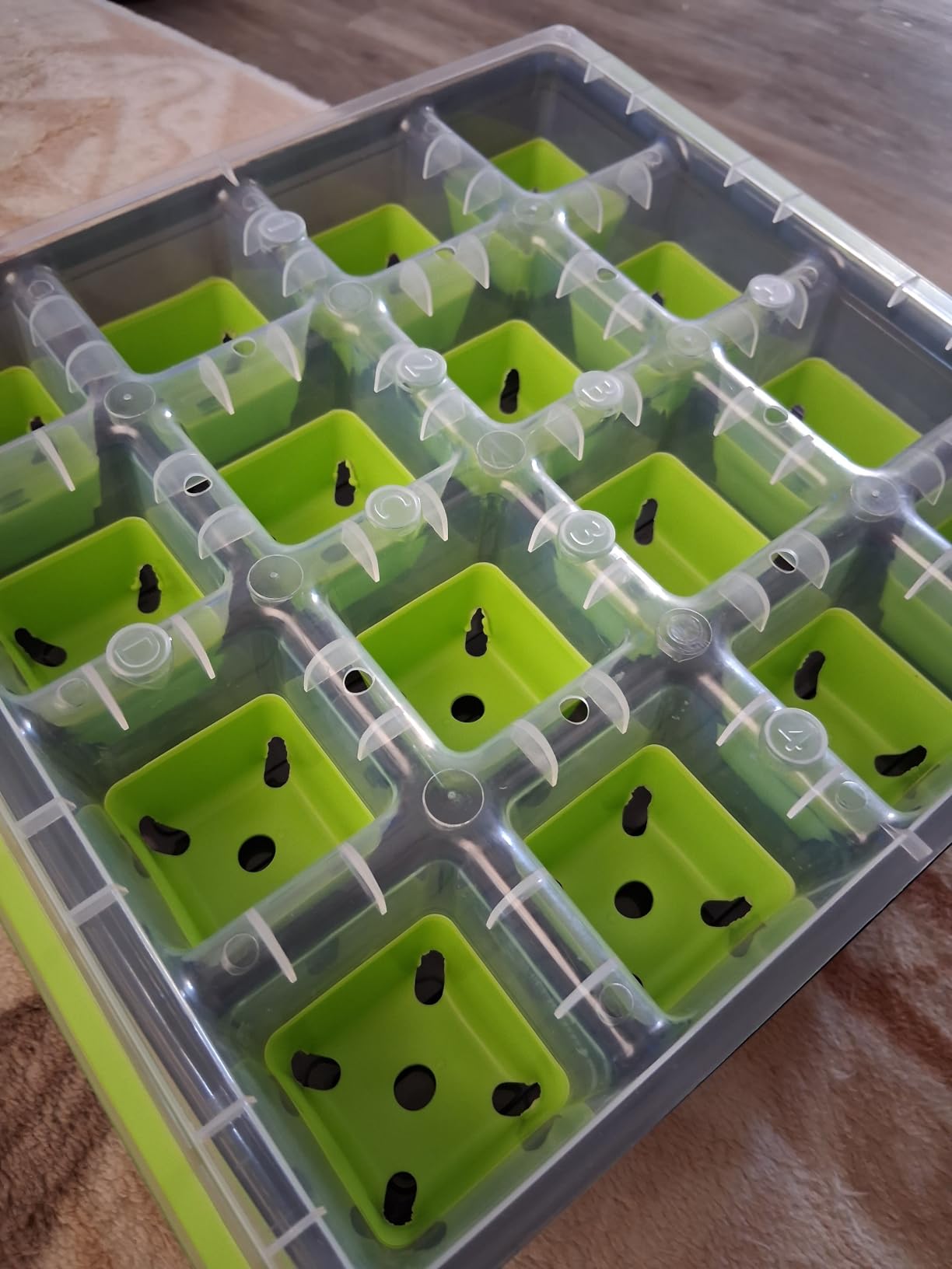 Burpee SuperSeed Seed Starting Tray | 36 Cell Reusable Seed Starter Tray | for Starting Vegetable, Flower & Herb Seeds | Indoor Grow Kit for Plant Seedlings customer photo 2