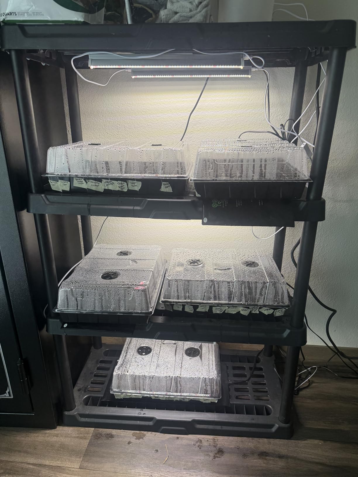 T5 Grow Lights for Seed Starting, 16 inches, 2-Count (10W x2) Full Spectrum LED Plant Light Bar w/Reflectors for Seedlings, 4000K White Growing Strips for Shelf/Rack customer photo 1