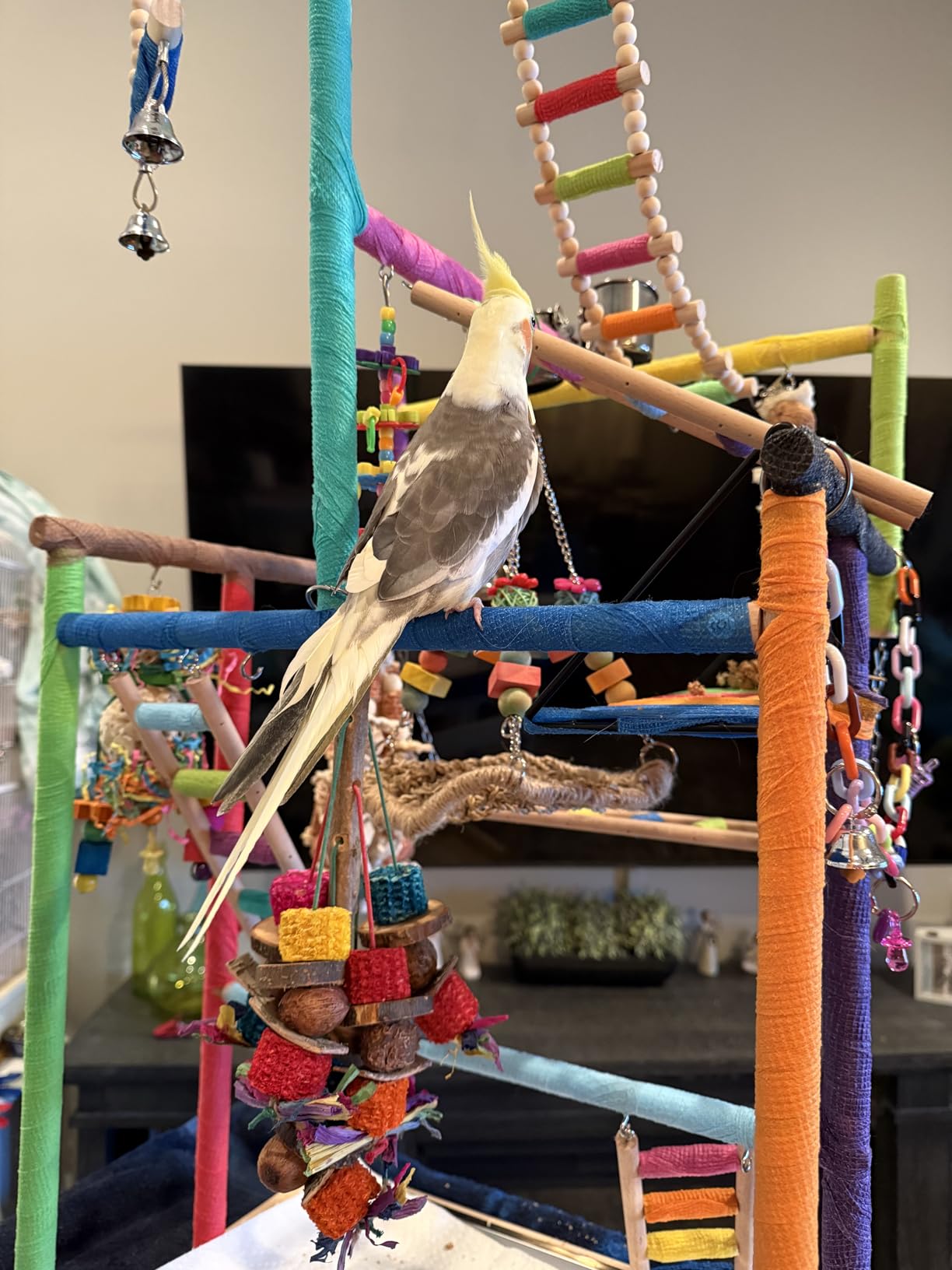 Pet Parrot Playstand Parrots Bird Playground Bird Play Stand Wood Perch Gym Playpen Ladder with Feeder Cups Bells for Cockatiel Parakeet (4 Layers) customer photo 1