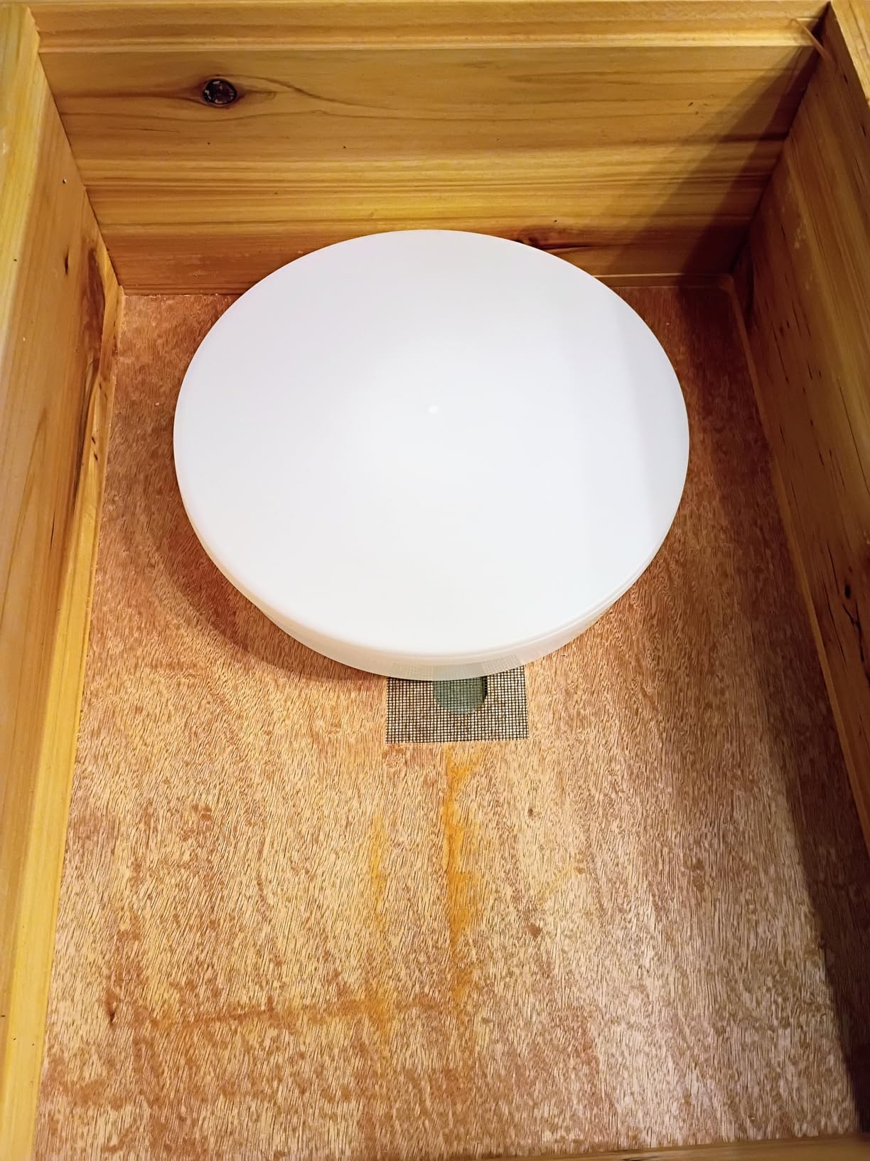 Aukbeefun 2 Pcs Rapid Round Bee Feeder White Bee Hive Top Feeder Professional Beekeeping Equipment customer photo 2